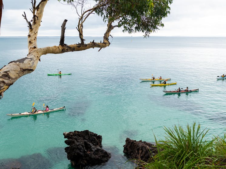 Sea Kayaking Lifestyle Retreats