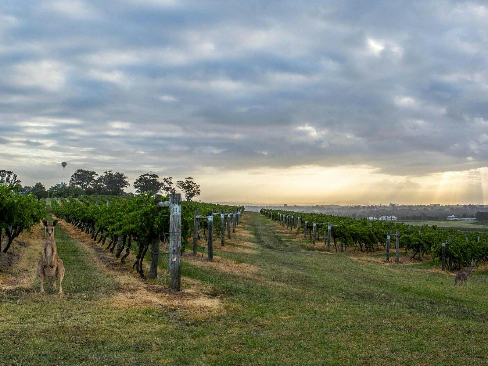 Hunter Valley Explorer Deluxe Self Guided Cycle Tour