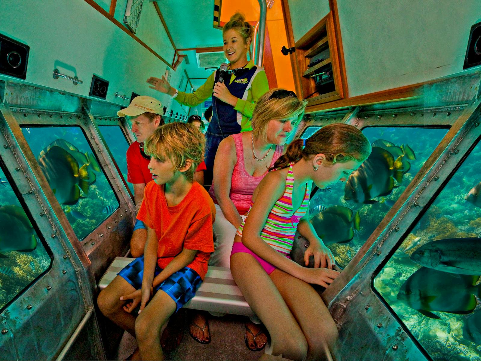 Half Day Tours Great Barrier Reef