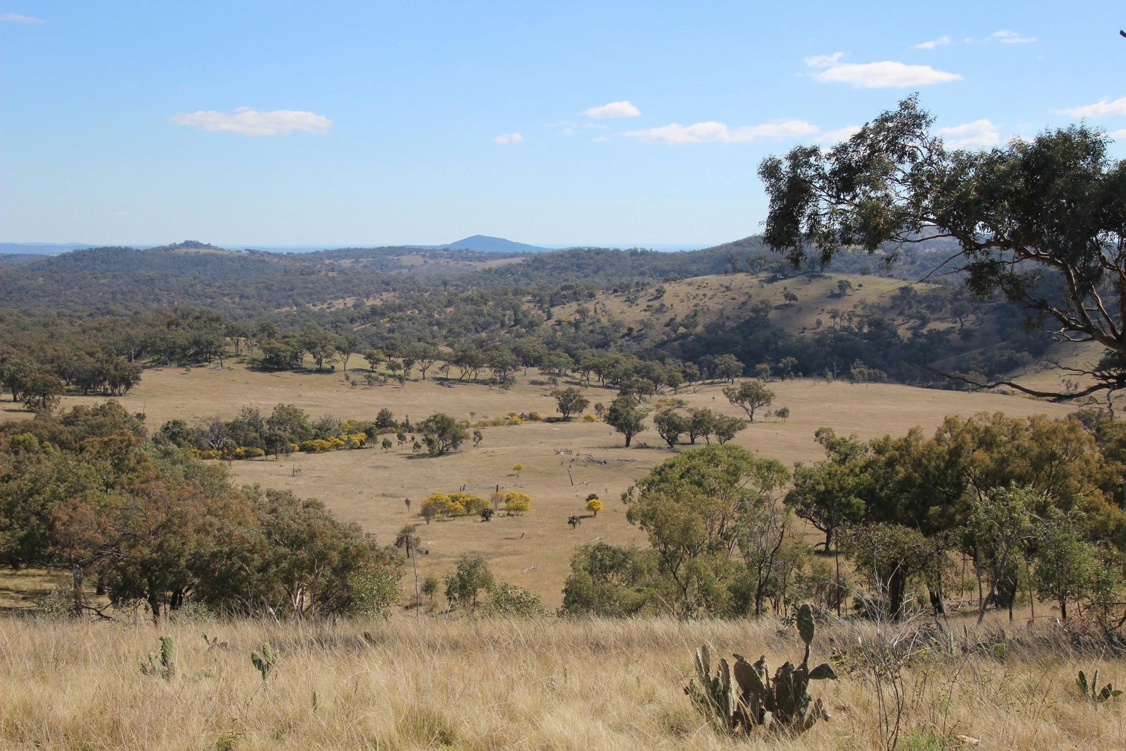 Stunning scenery of the Australian Bush landscape at Verona Country Escape