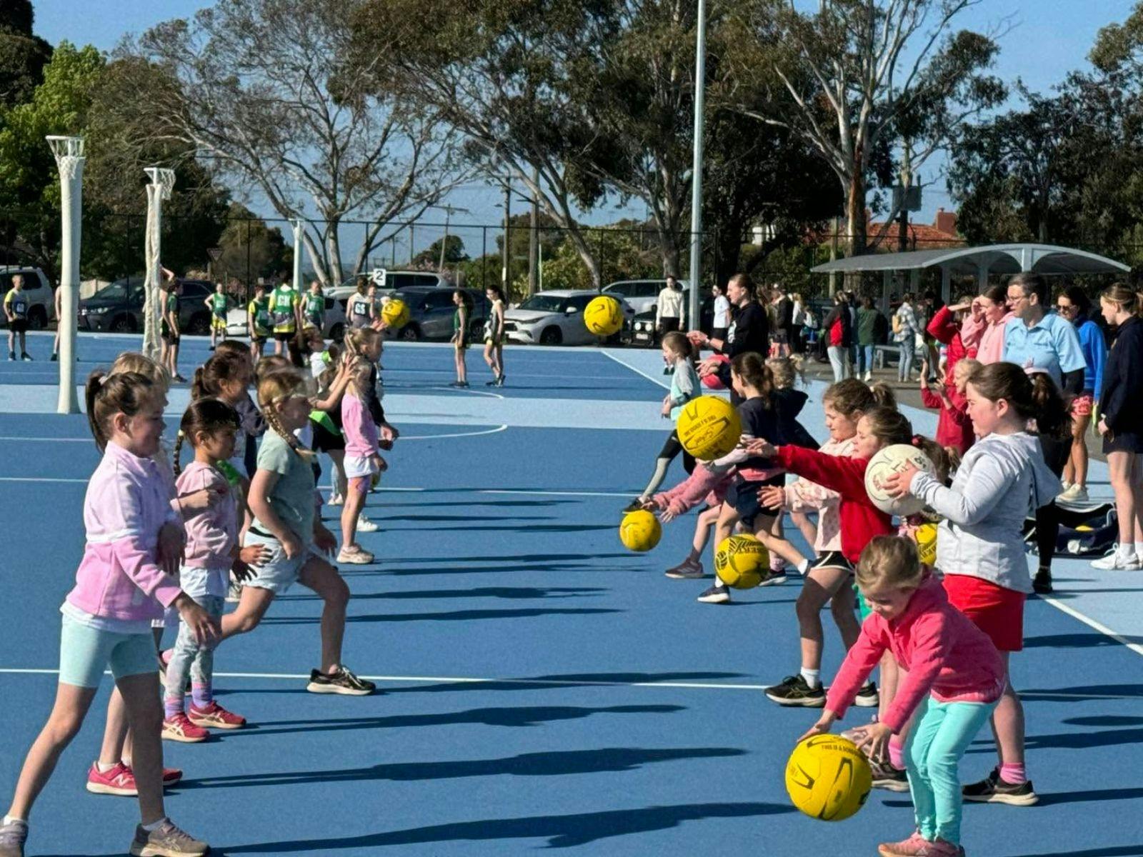 Hamilton Netball Association