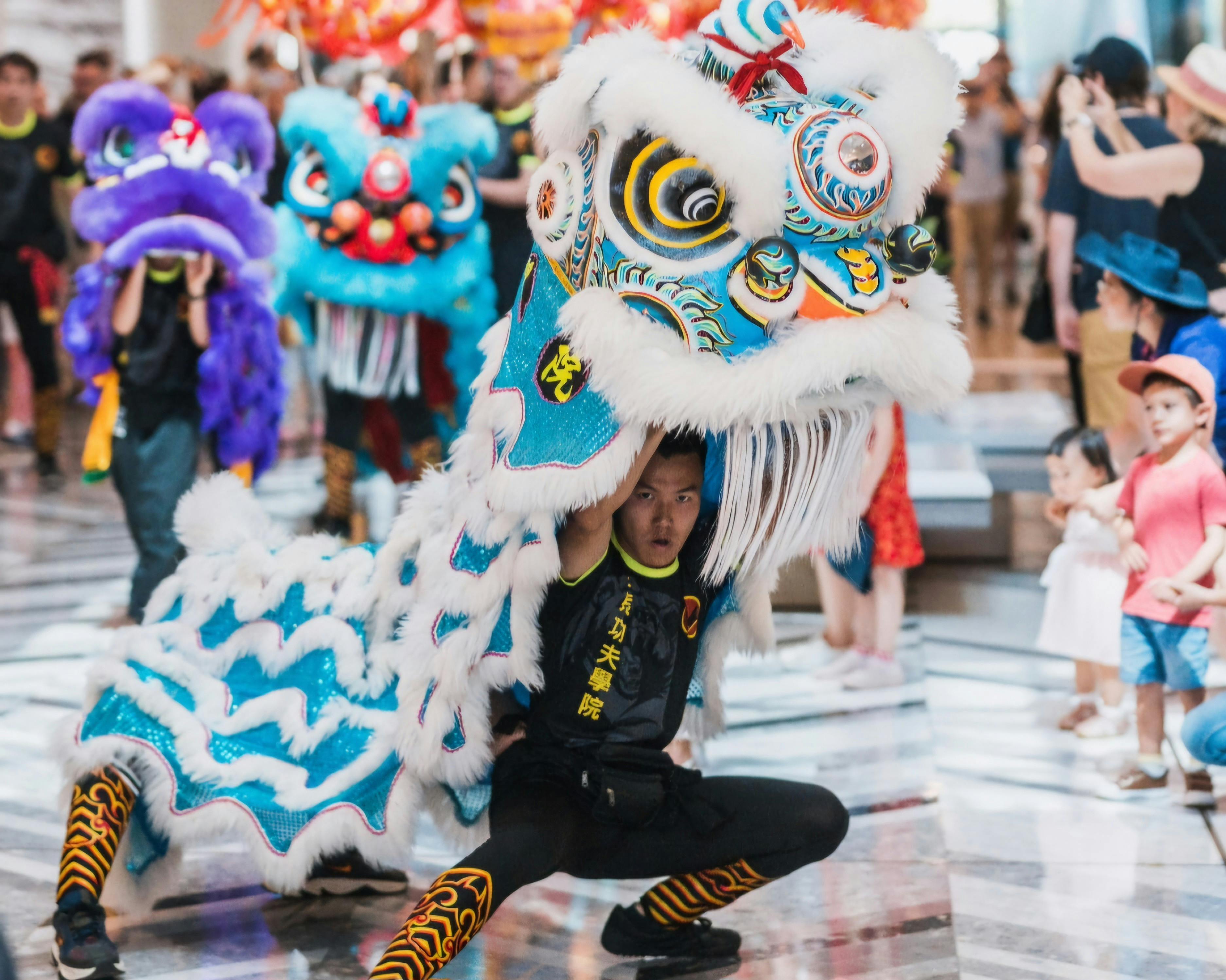Canberra Dragon Dance Performance at Canberra Centre Lunar New Year
