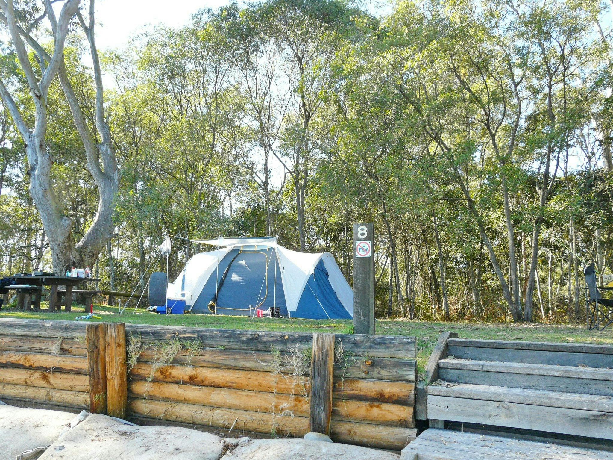 Blue tent set up next to a picnic table with trees in the background.