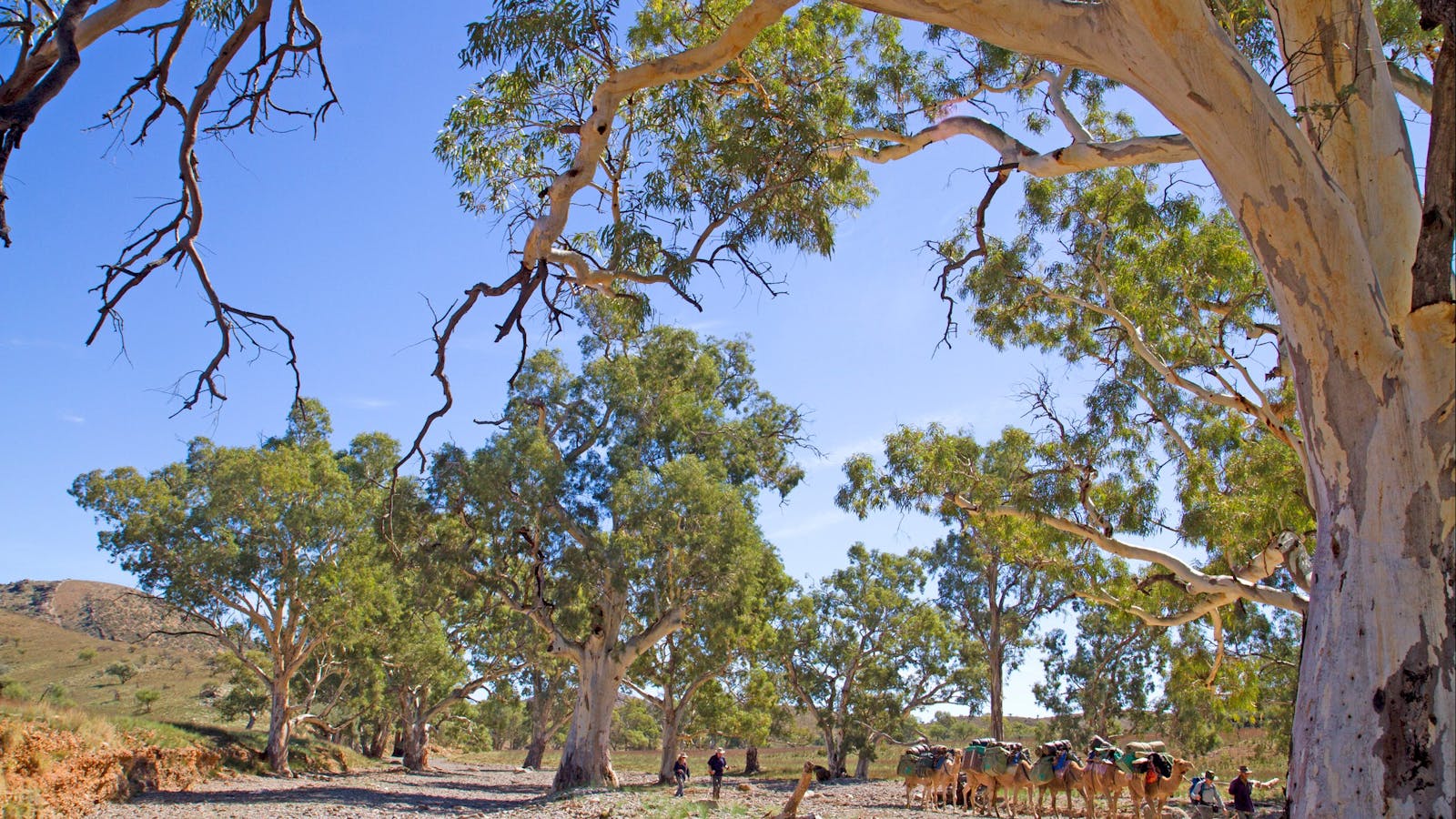 Australian Walking Holidays