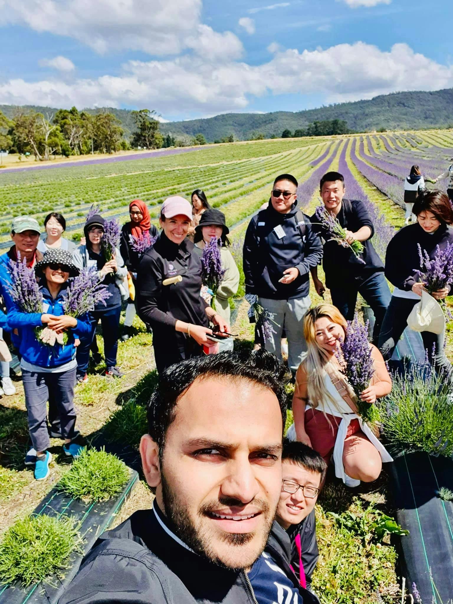 Huon Valley Lavender & Apple Shed Exploration