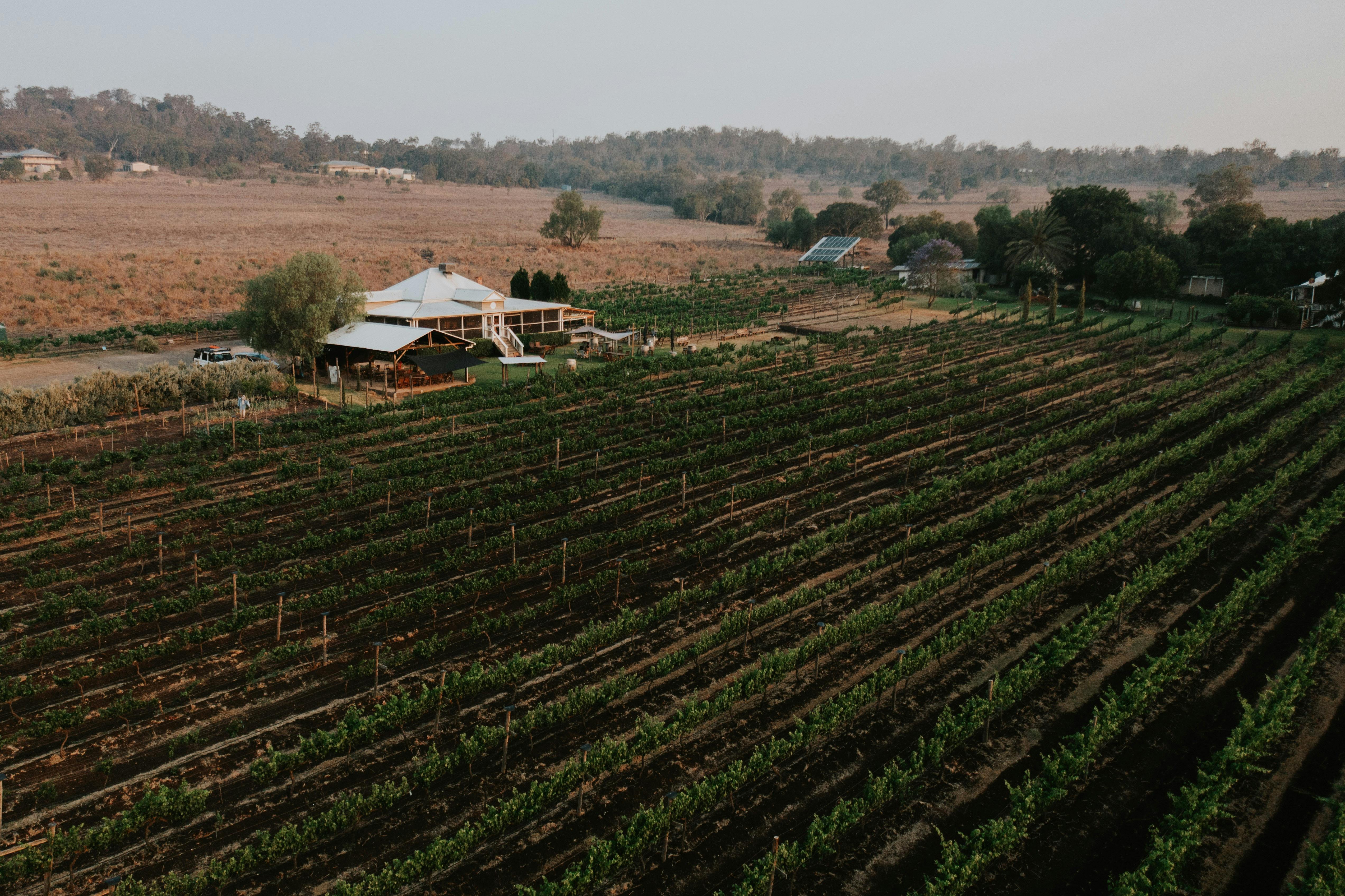 Rosalie House Cellar Door Restaurant