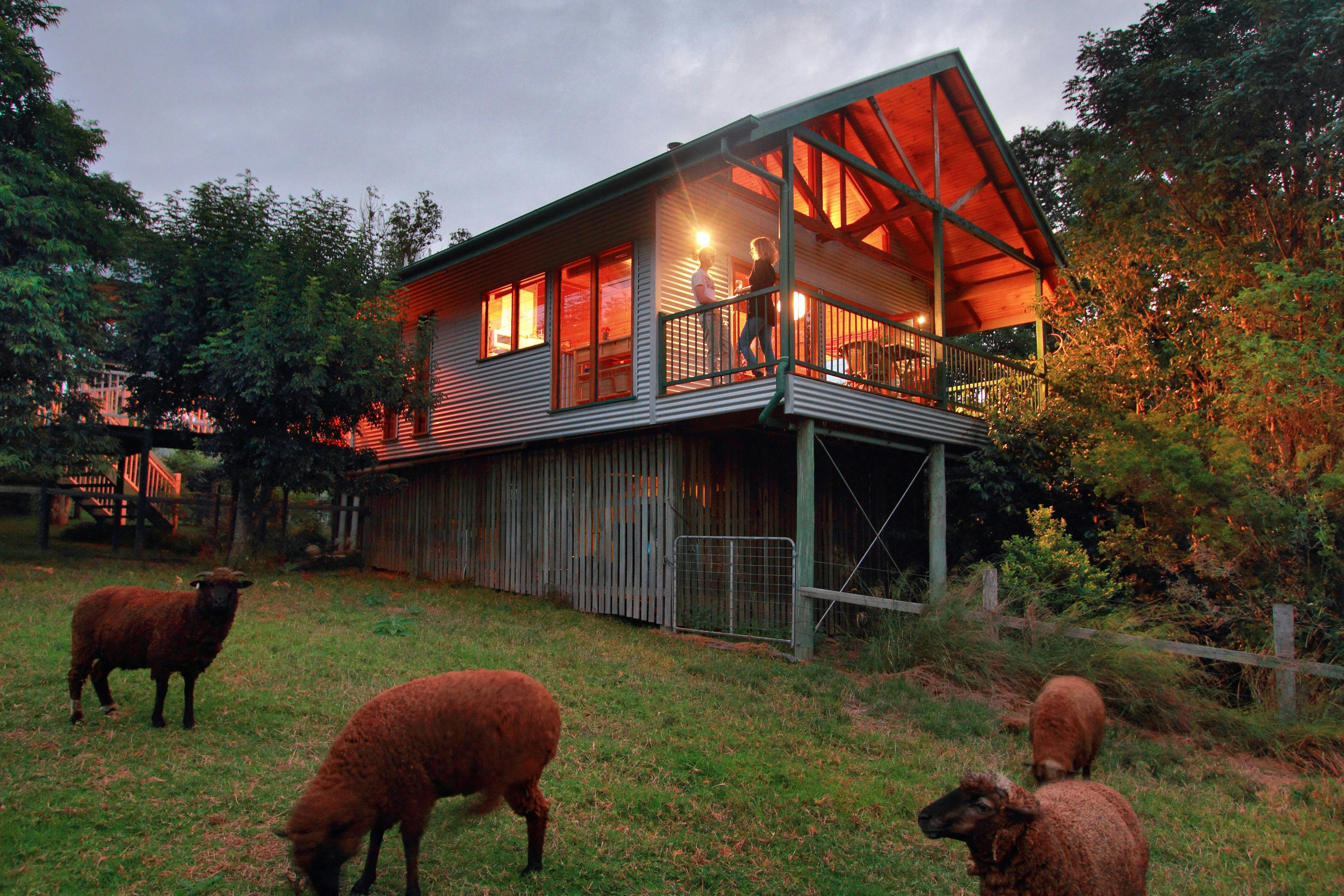 The Treehouse