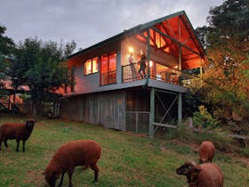 Treehouse Cottage
