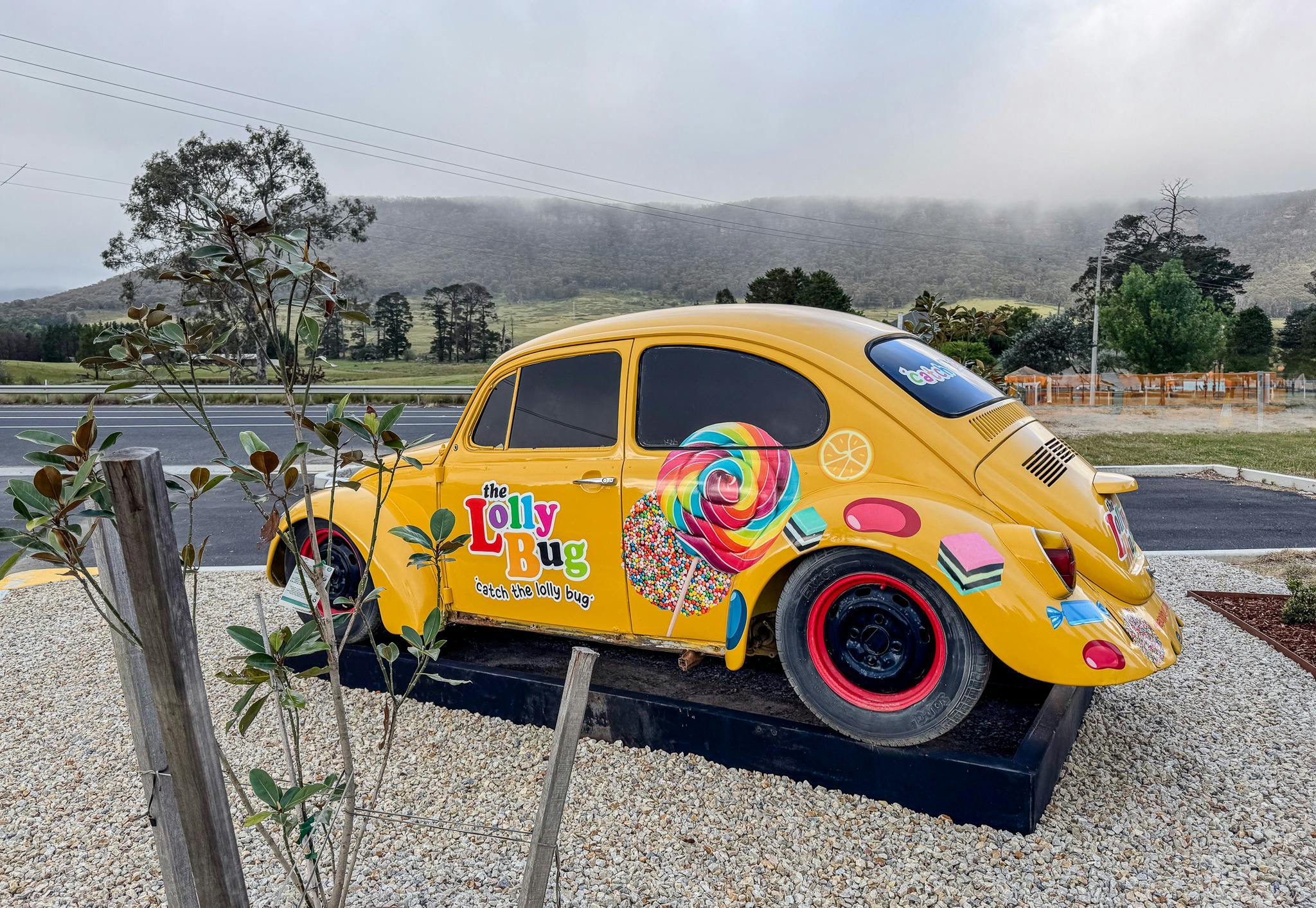 The Old Lolly Bug Car