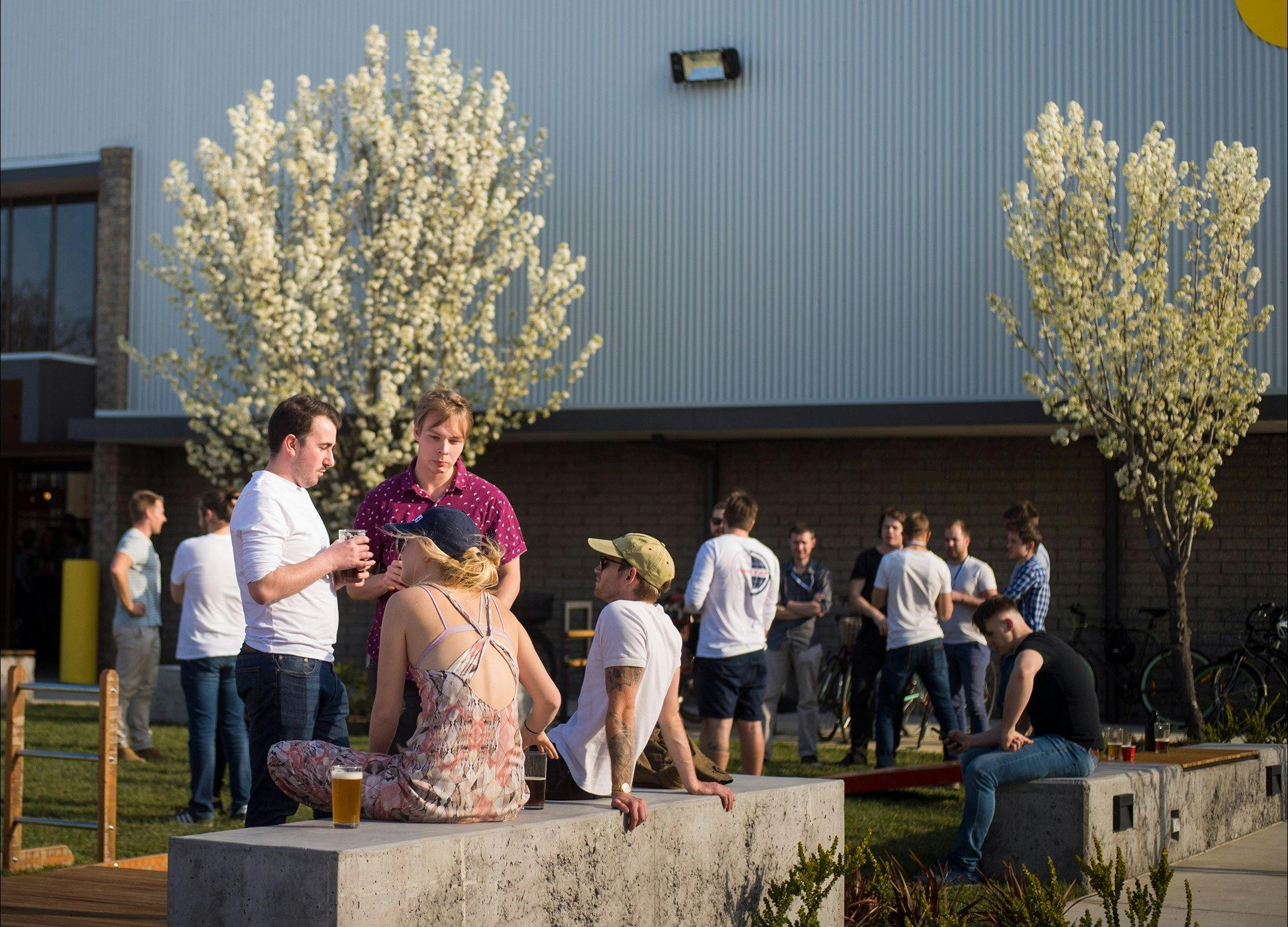 Capital brewing Co. lawns