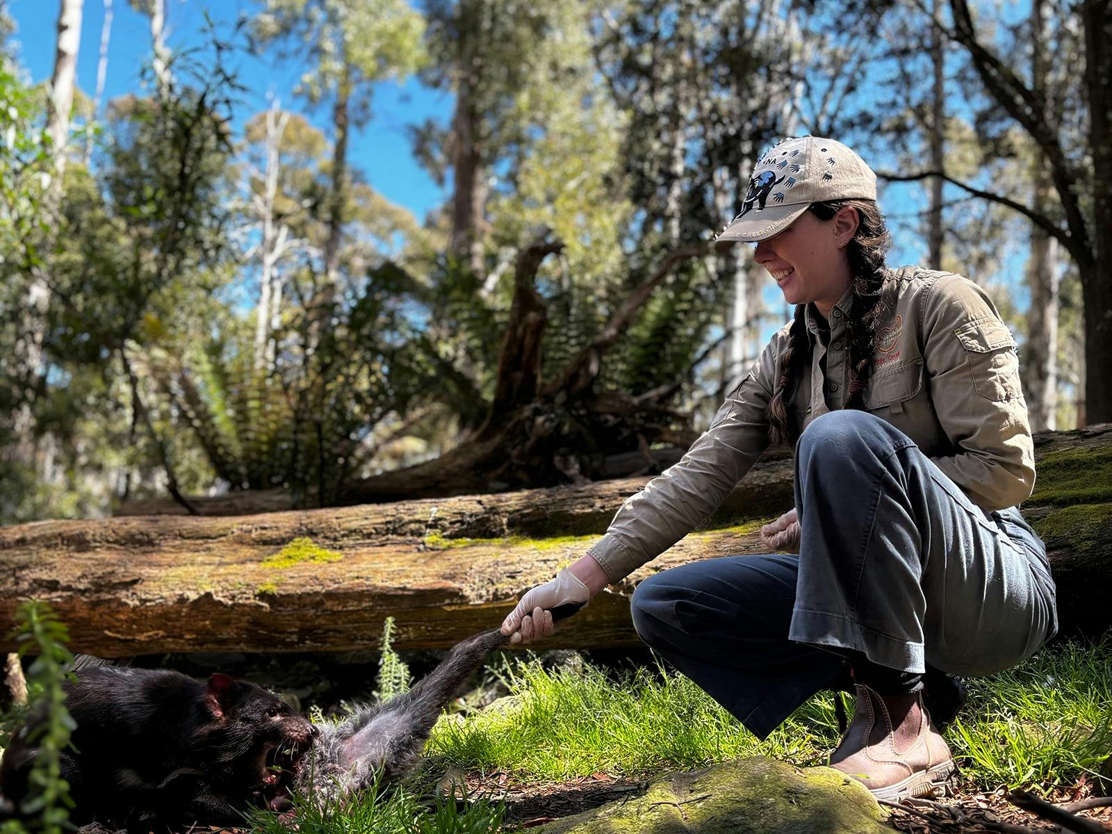 Devil dominance image