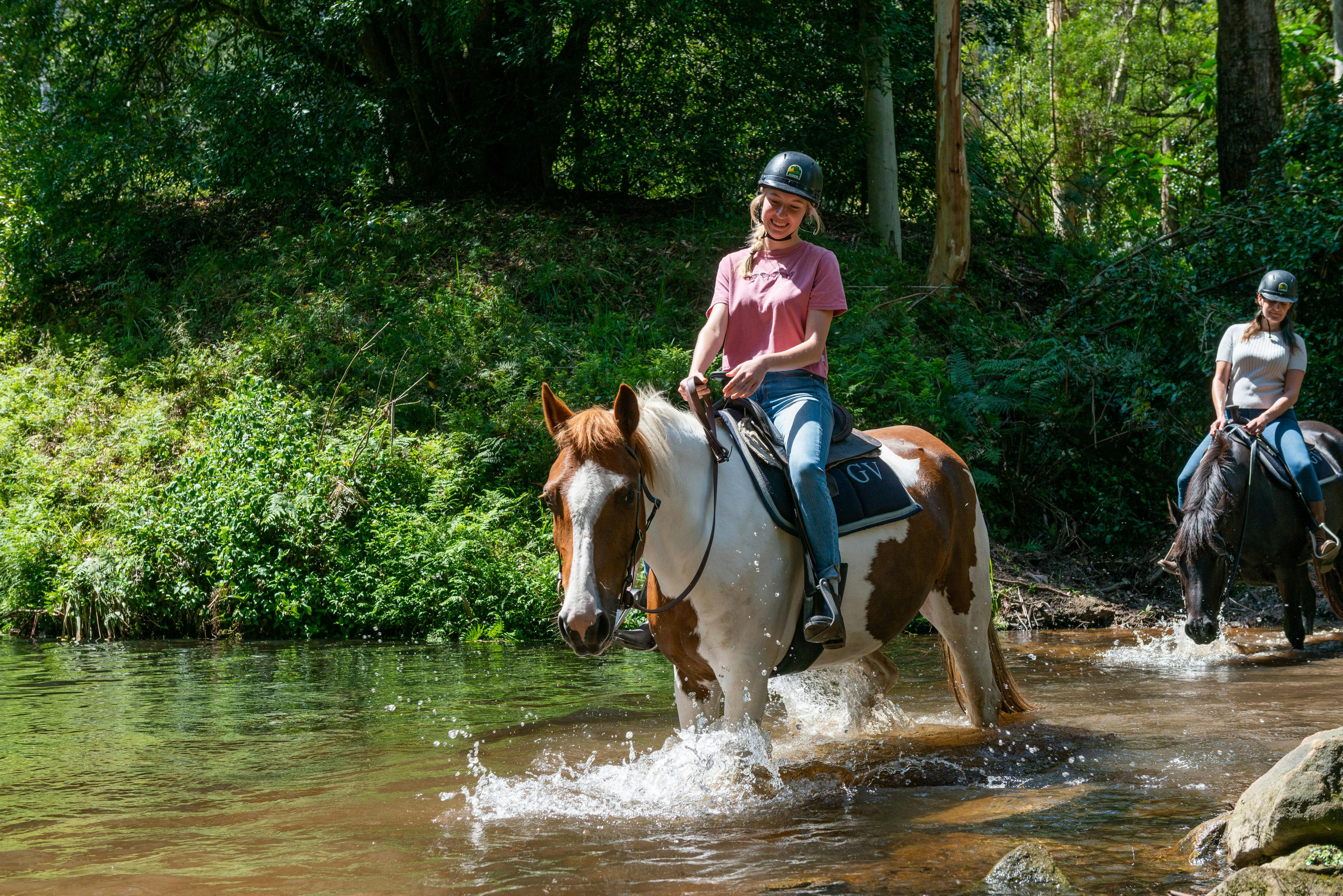 tourism horse riding