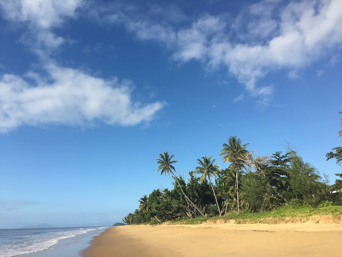 Tropical Wongaling Beach with blue sky, turquoise water and green palm trees.