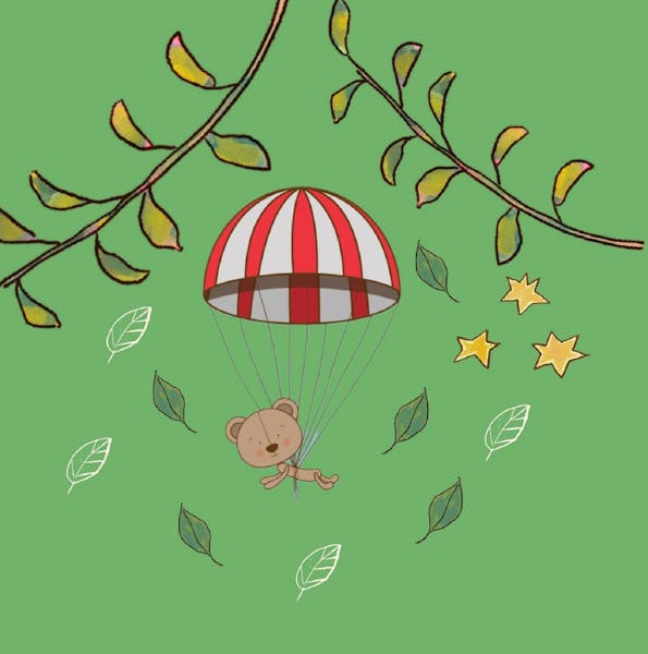 Birre Bears - Australian Parachuting Championships