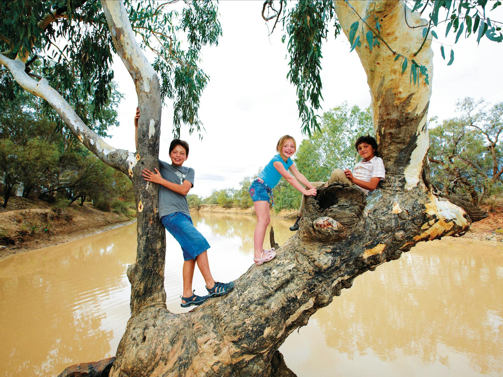 Thargomindah