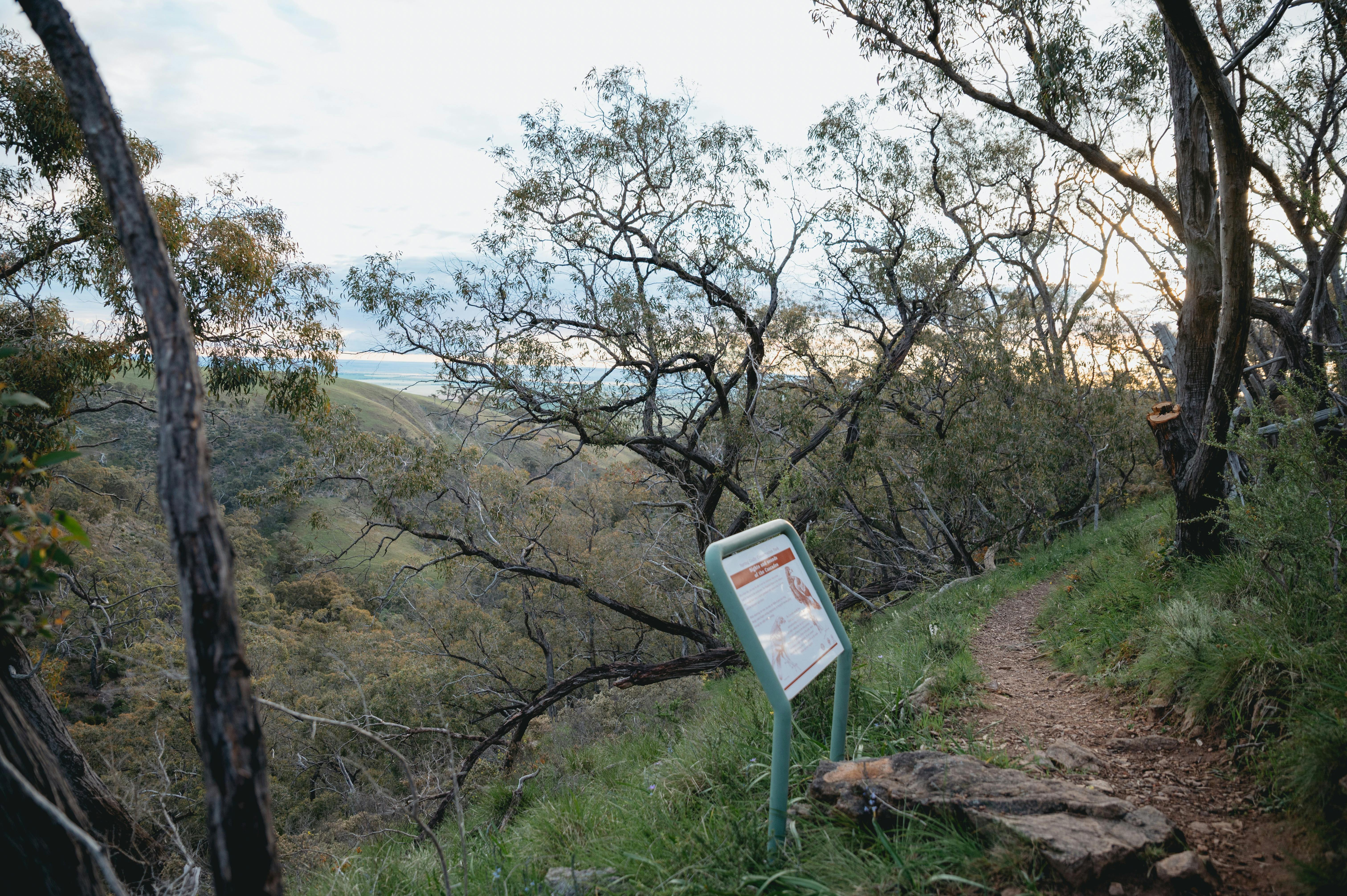Cascades Short Walk