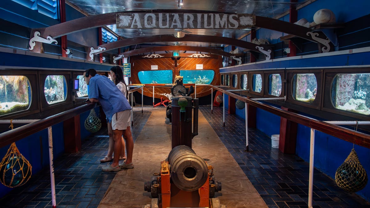 Marineland Melanesia Crocodile Habitat