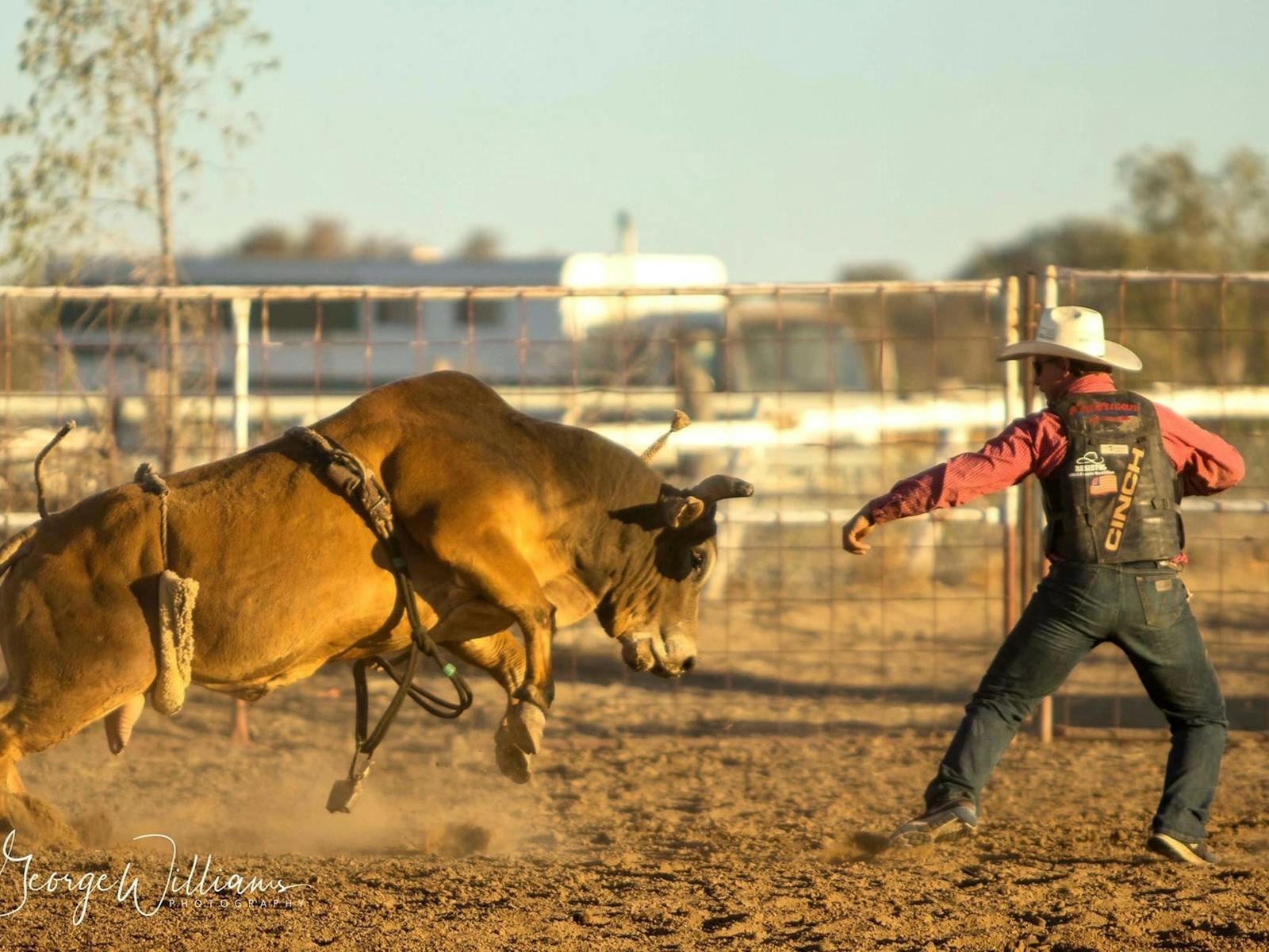 Image for Walgett Charity Bushman's Carnival Rodeo and Campdraft