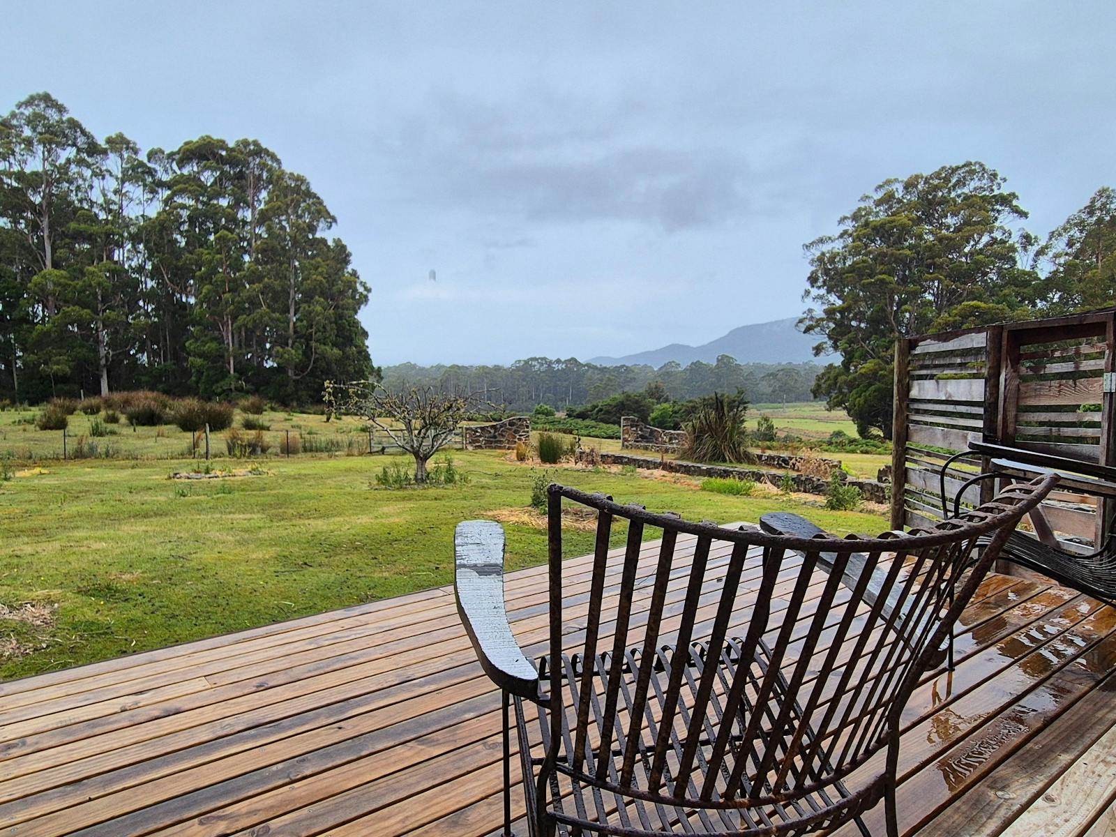 Deck & Views