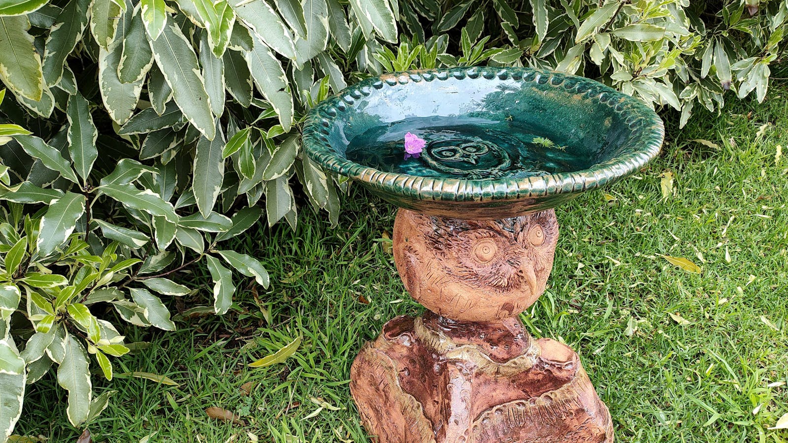 Bird Bath