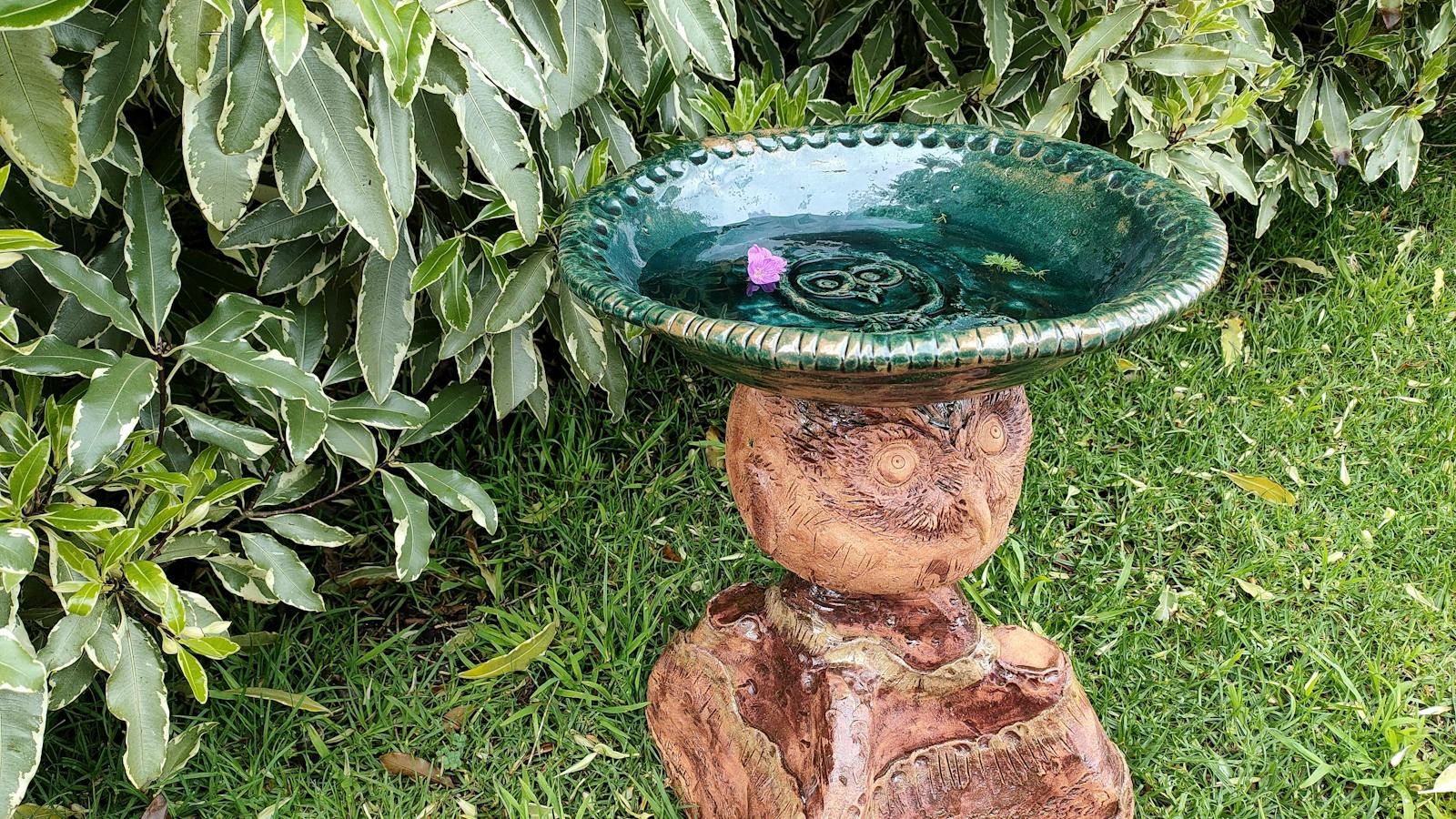 Bird Bath