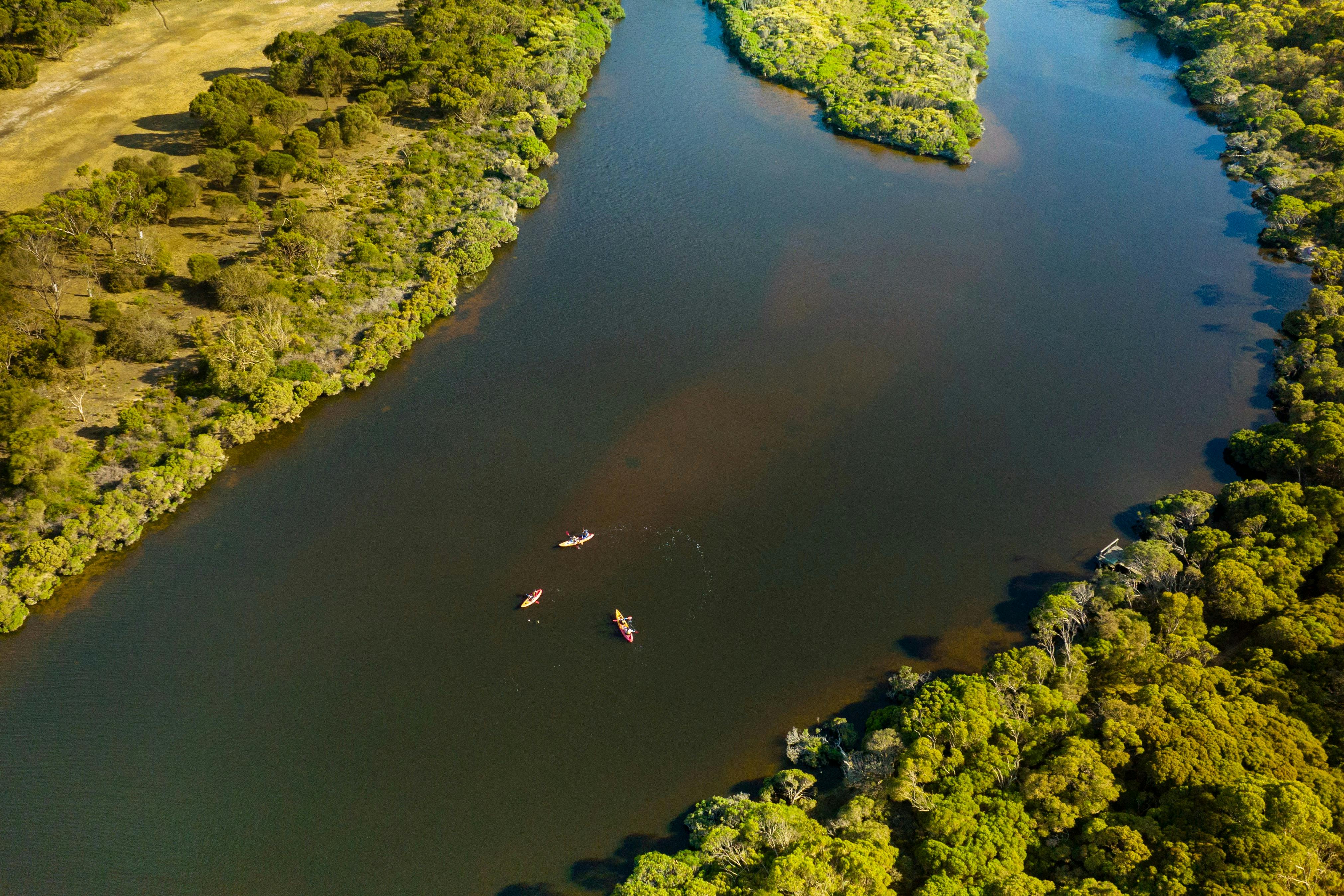 Harriet River Water Kayaking