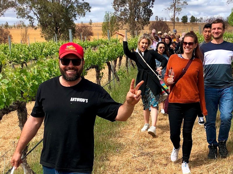 Image for Antonio's Vineyard Tour and Wine Tasting