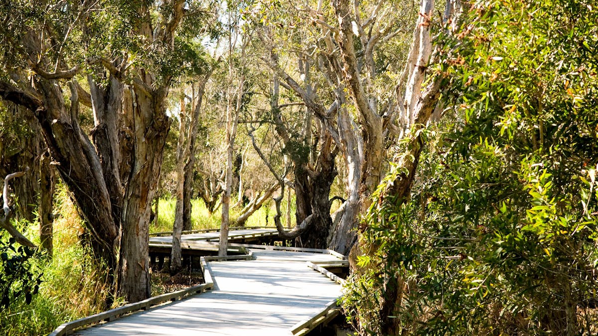 Visit Logan Queensland