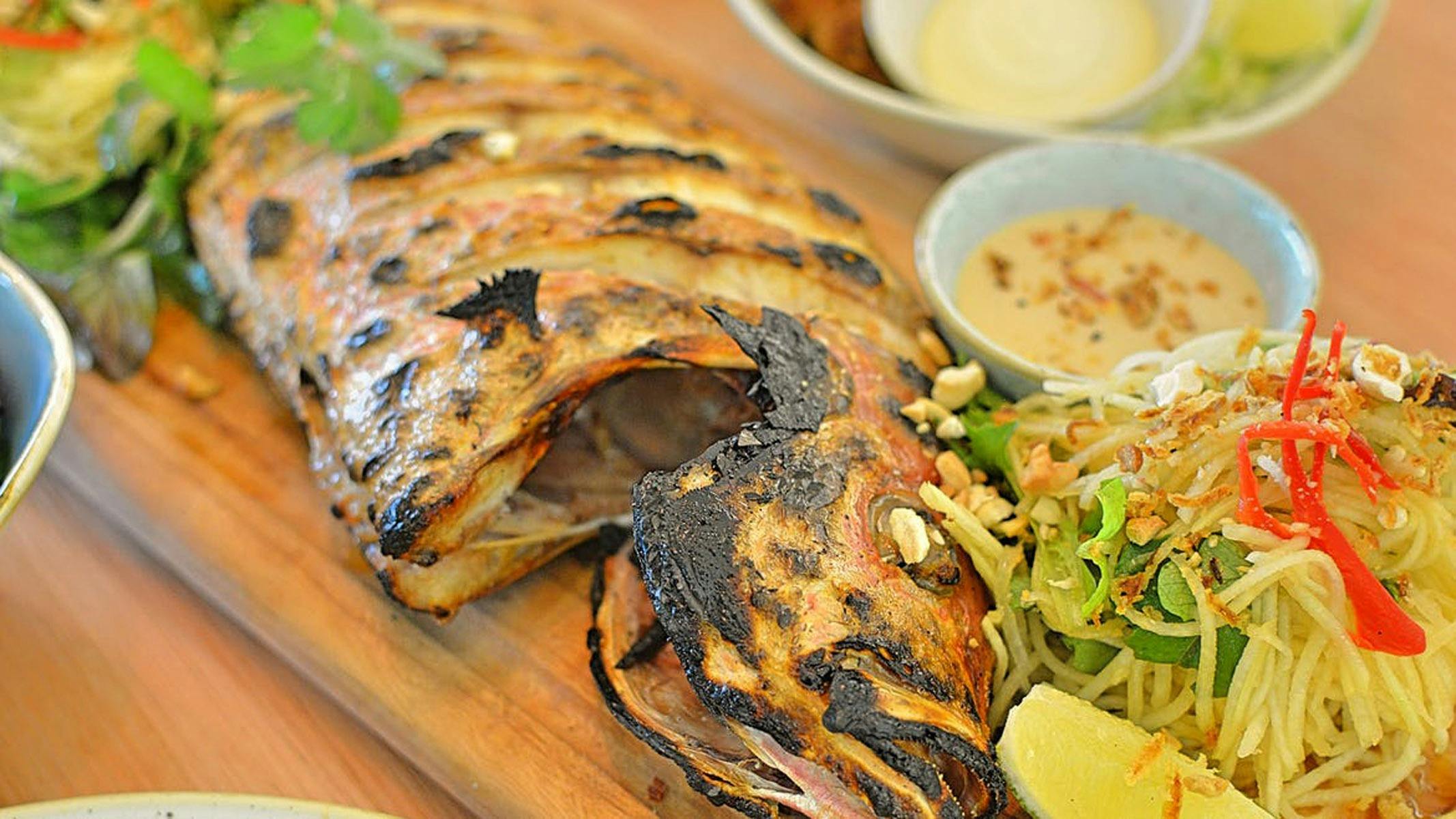 Fresh-fish-Snapper-Rocks