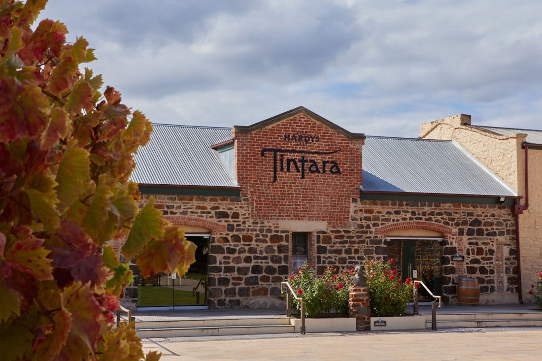 Hardys Wine Experiences McLaren Vale, Tour South Australia
