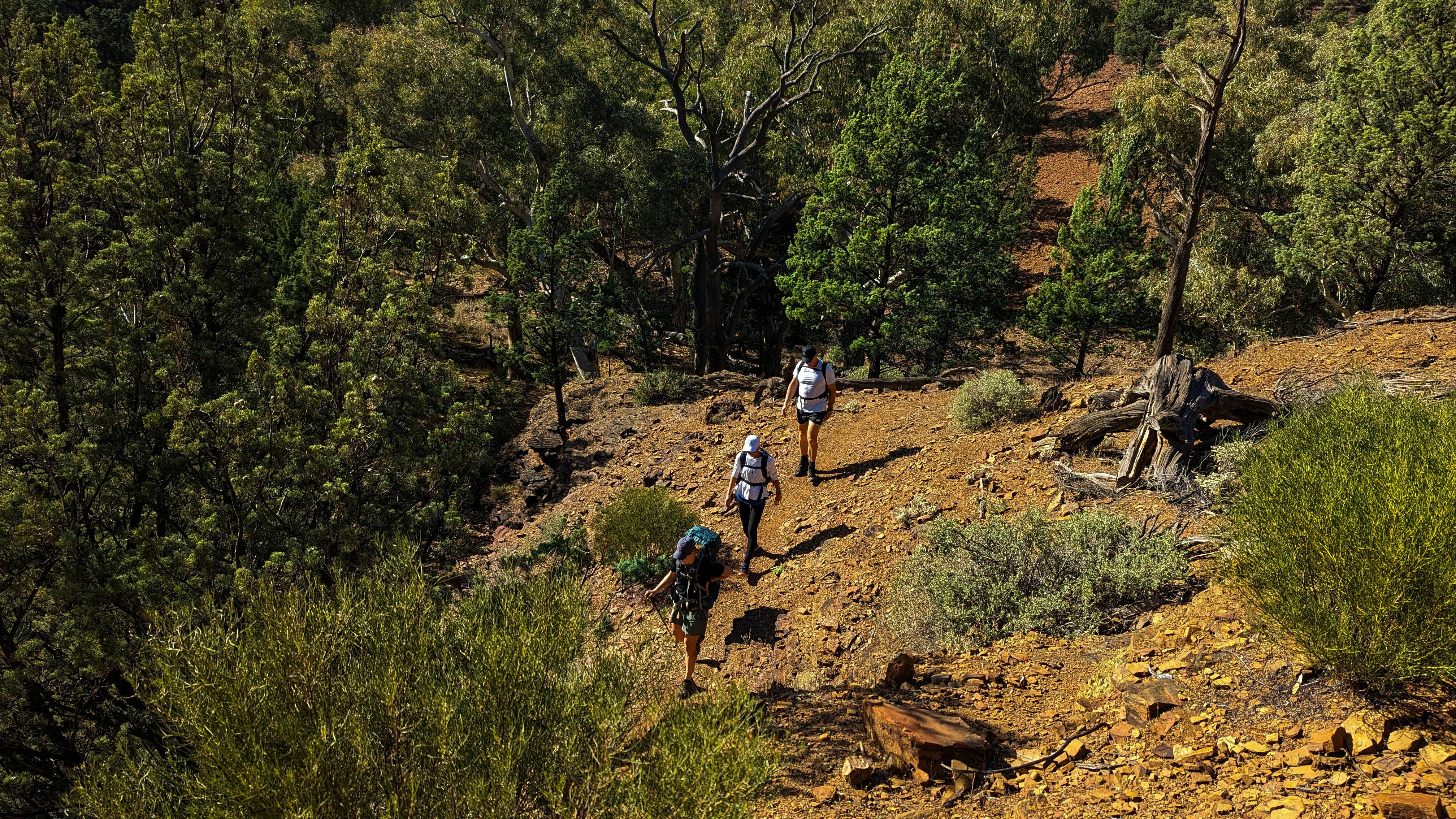 Hiking the Heysen Trail