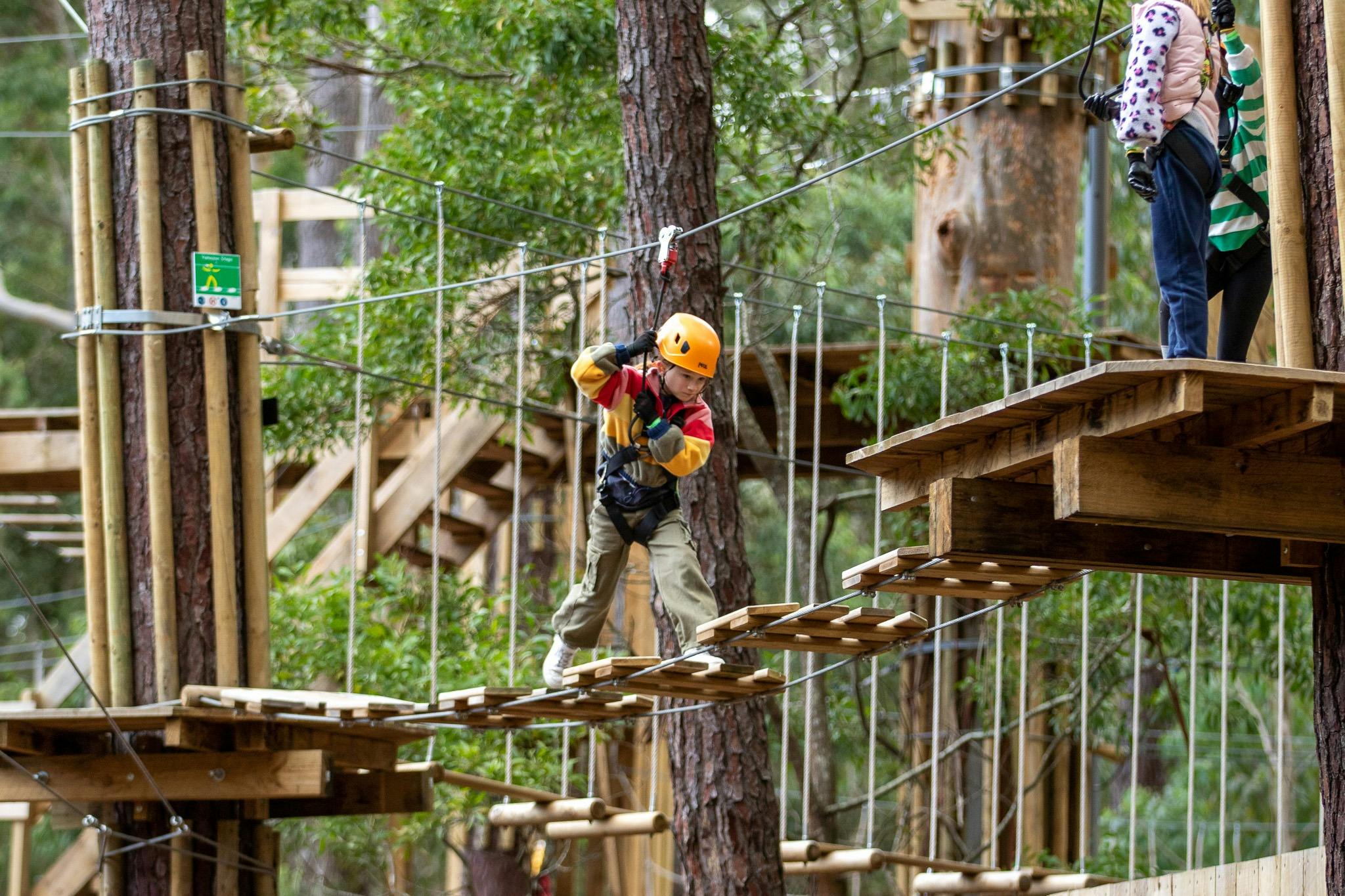 TreeClimb Kuitpo Forest Kids Course