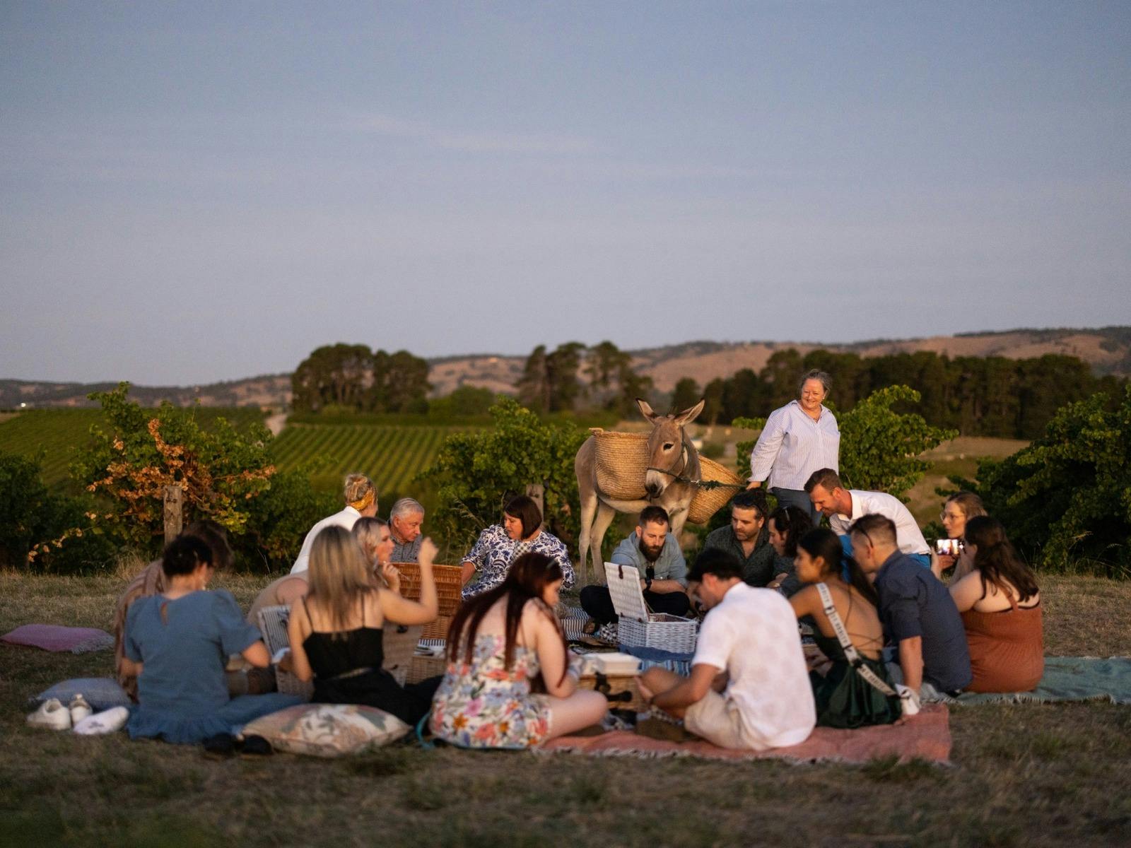 A happy group of people picnicking with a donkey in a vineyard that has beautiful viewsd