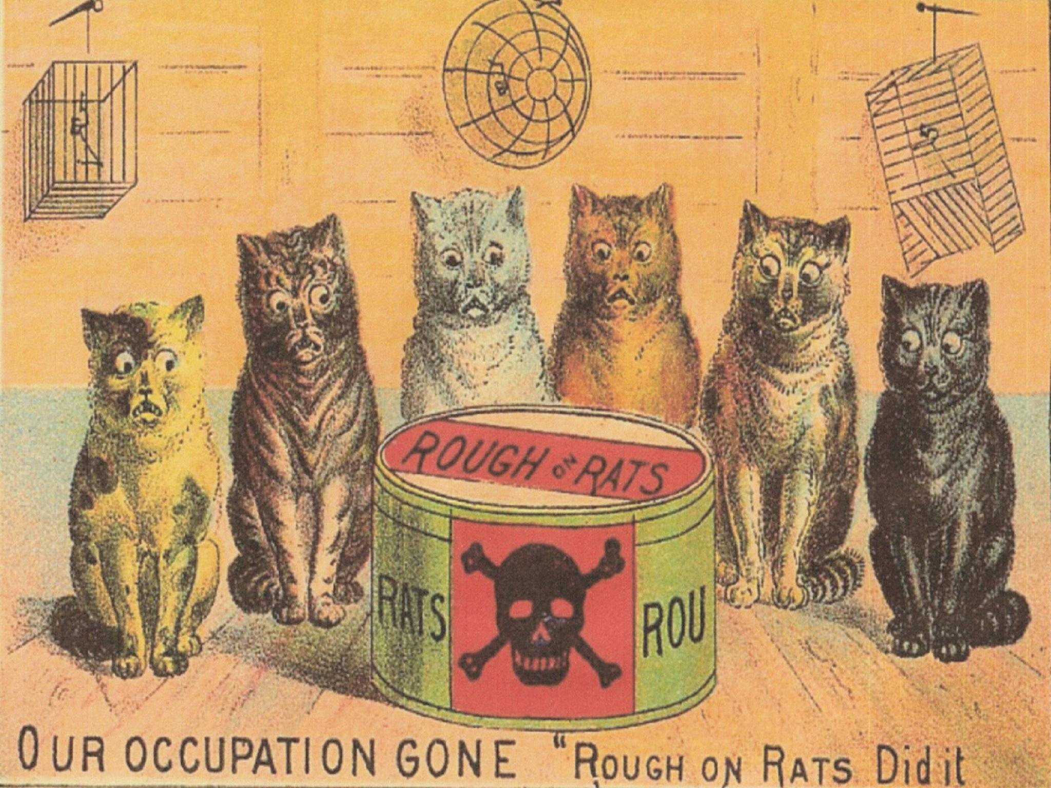 Image for Free Talk - Then and There Lying Dead by Judith Dunn