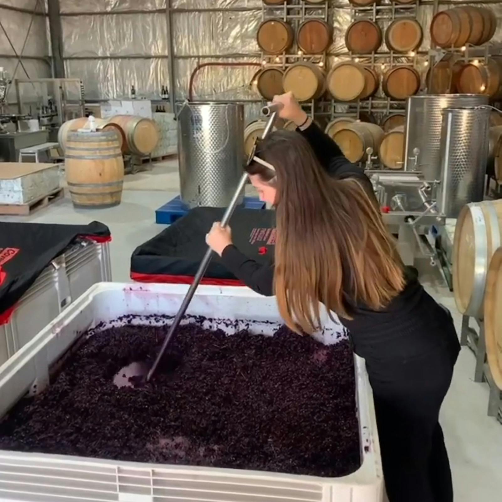 A wonan plunging a vat of wine