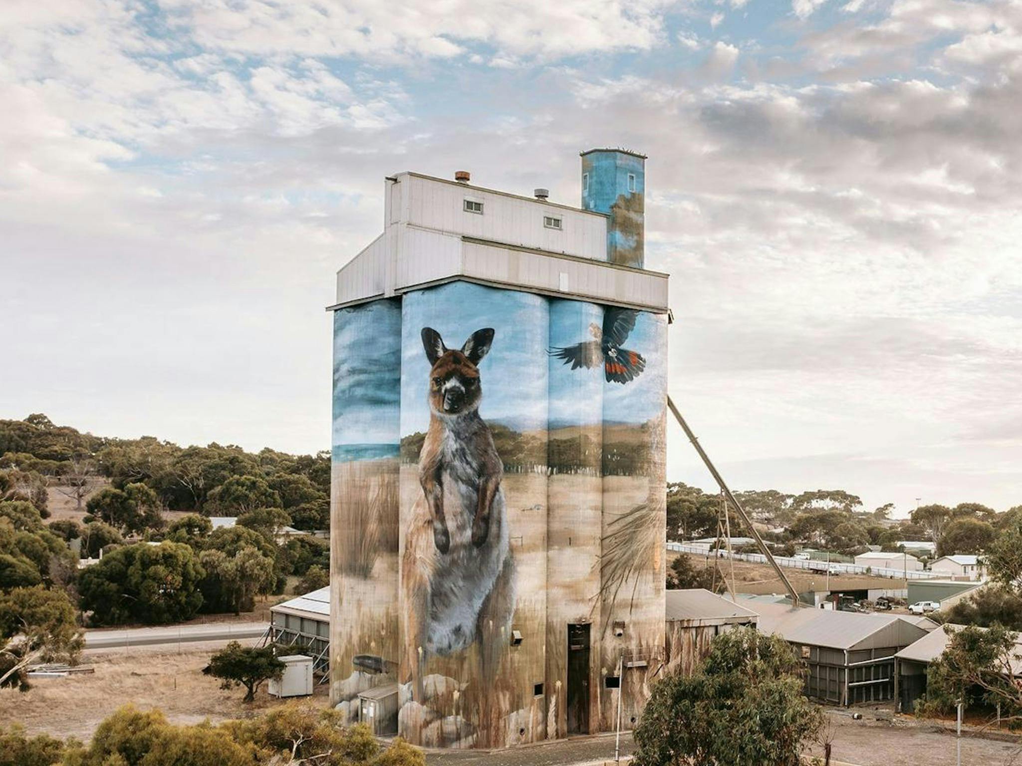 Kangaroo island solo