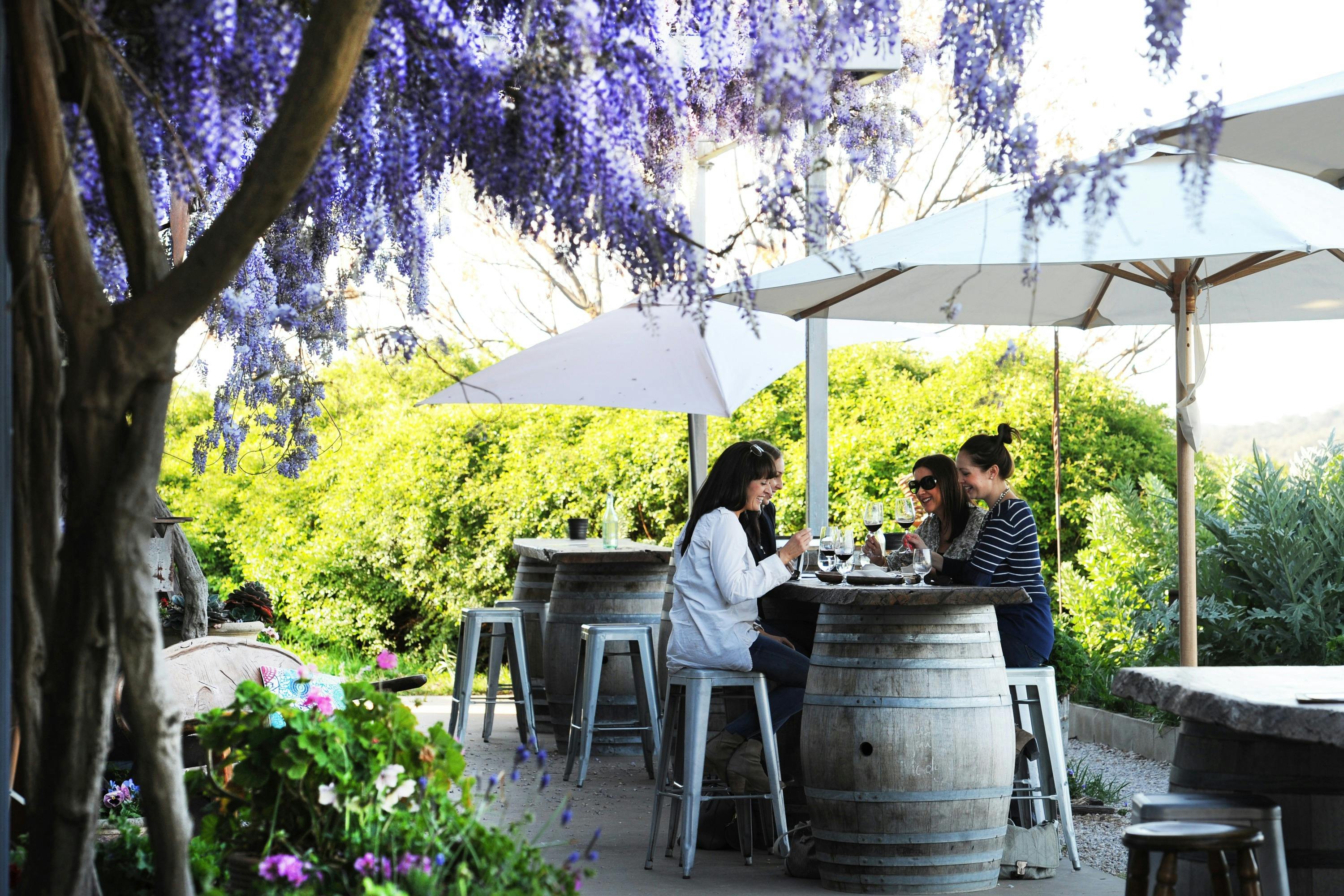 Lunch at a winery