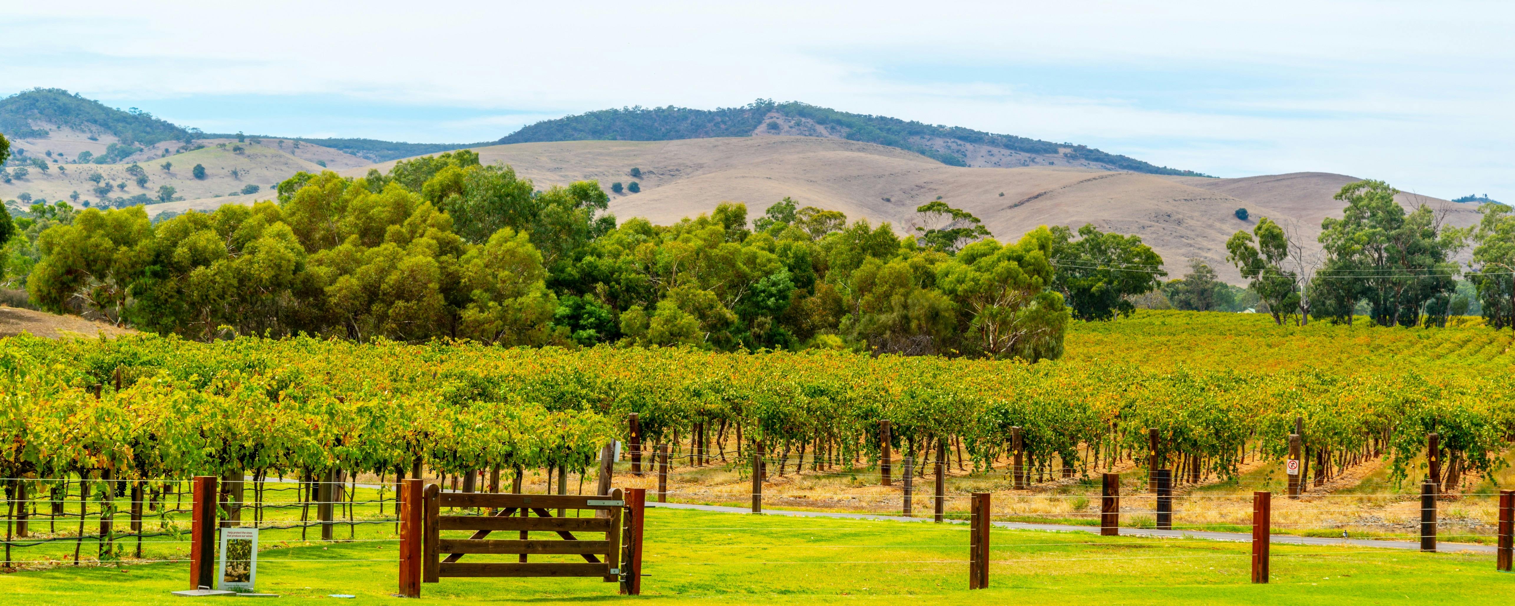 Winery