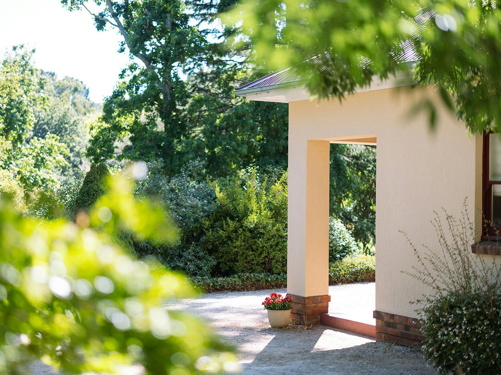 A view through foliage looking at the corenr verandah of a house.