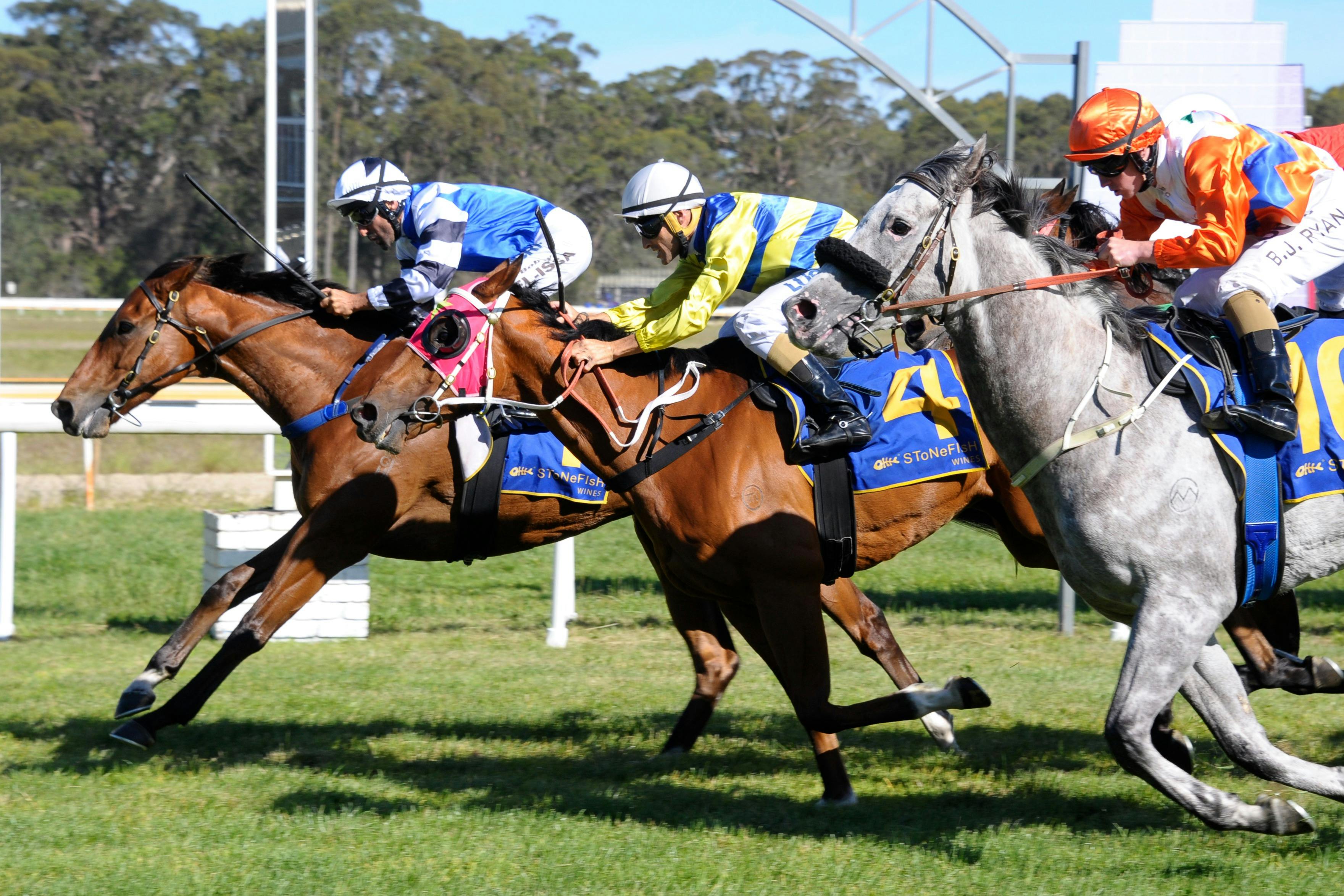 Bodalla Tuross  Cup Day