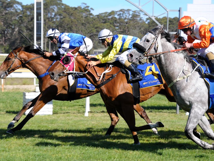 Bodalla Tuross  Cup Day