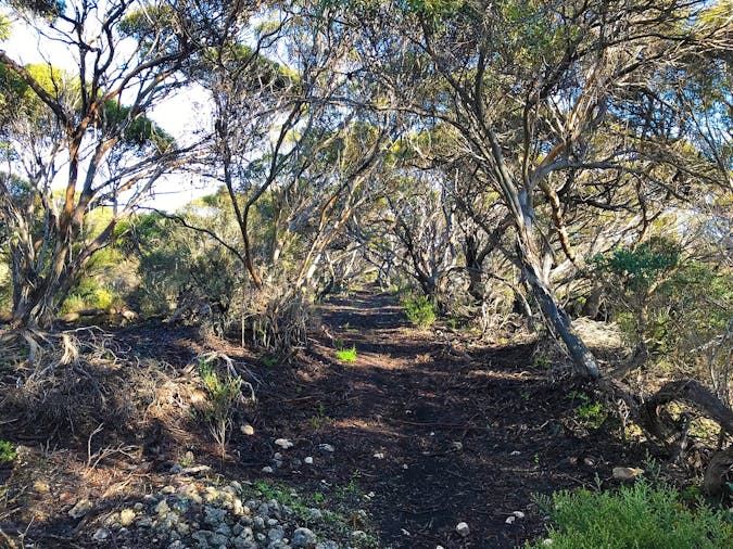 Walk The Yorke self-guided – south coast