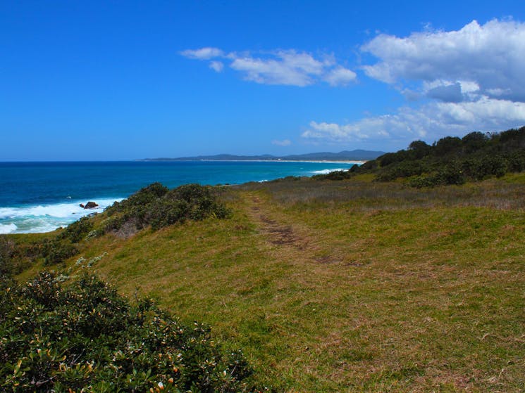 Slightly bare, but beautiful nonetheless. Bare Point, Diggers Camp.