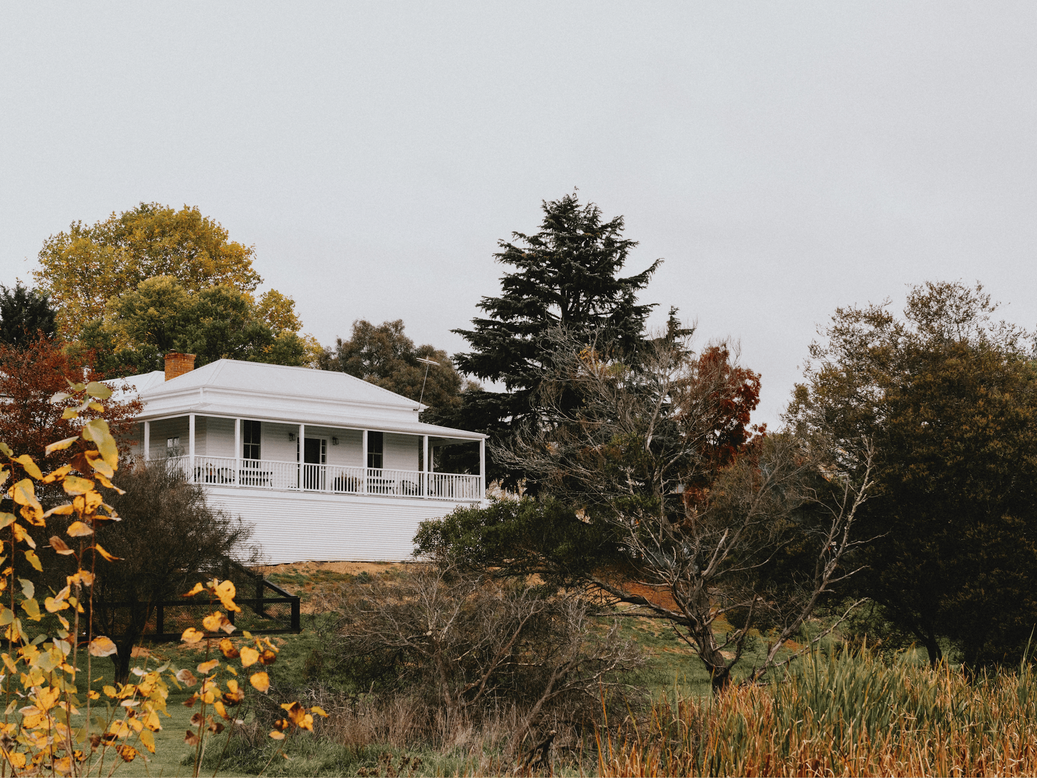 House viewed from Park