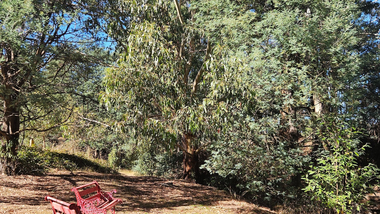Crabtree Rivulet flows all year.