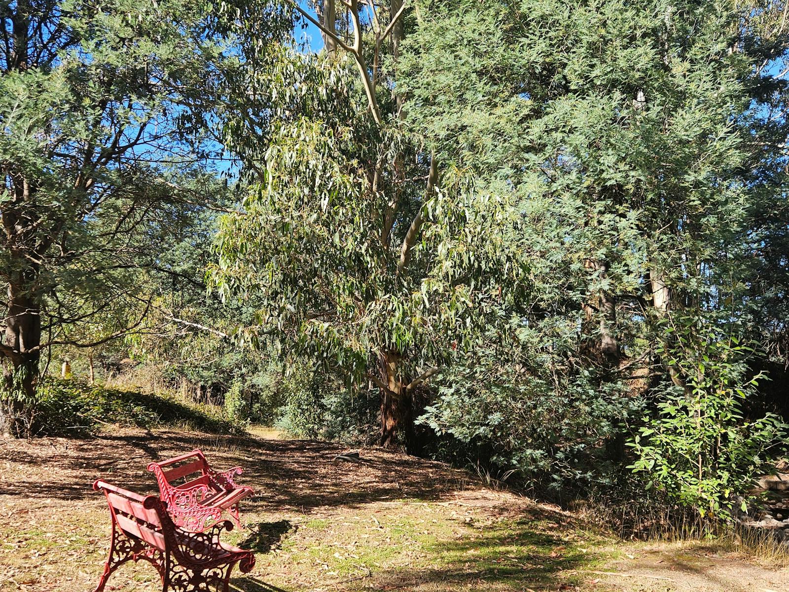 You might spot the resident platypus!