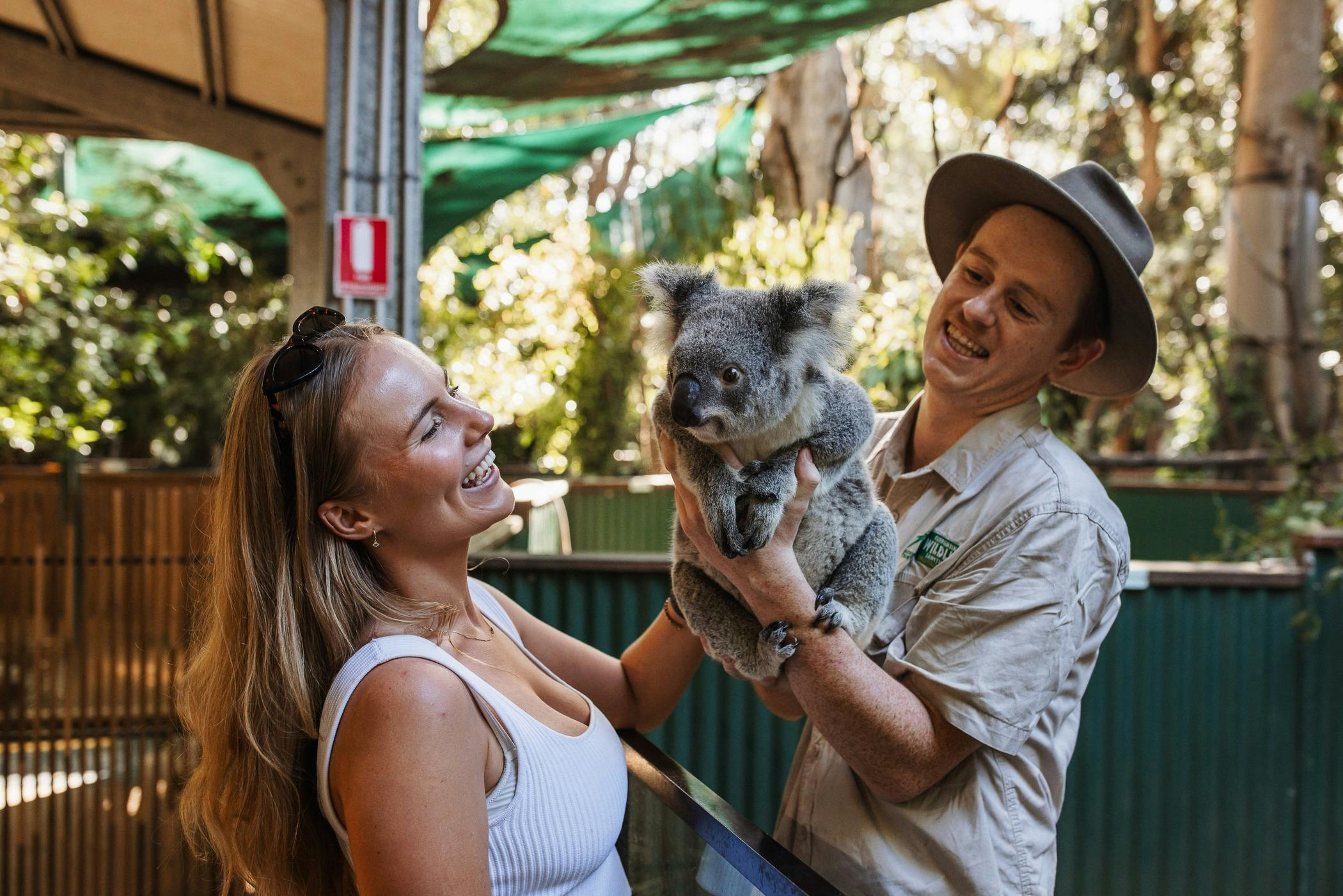 Koala Encounter at Currumbin Wildlife Sanctuary