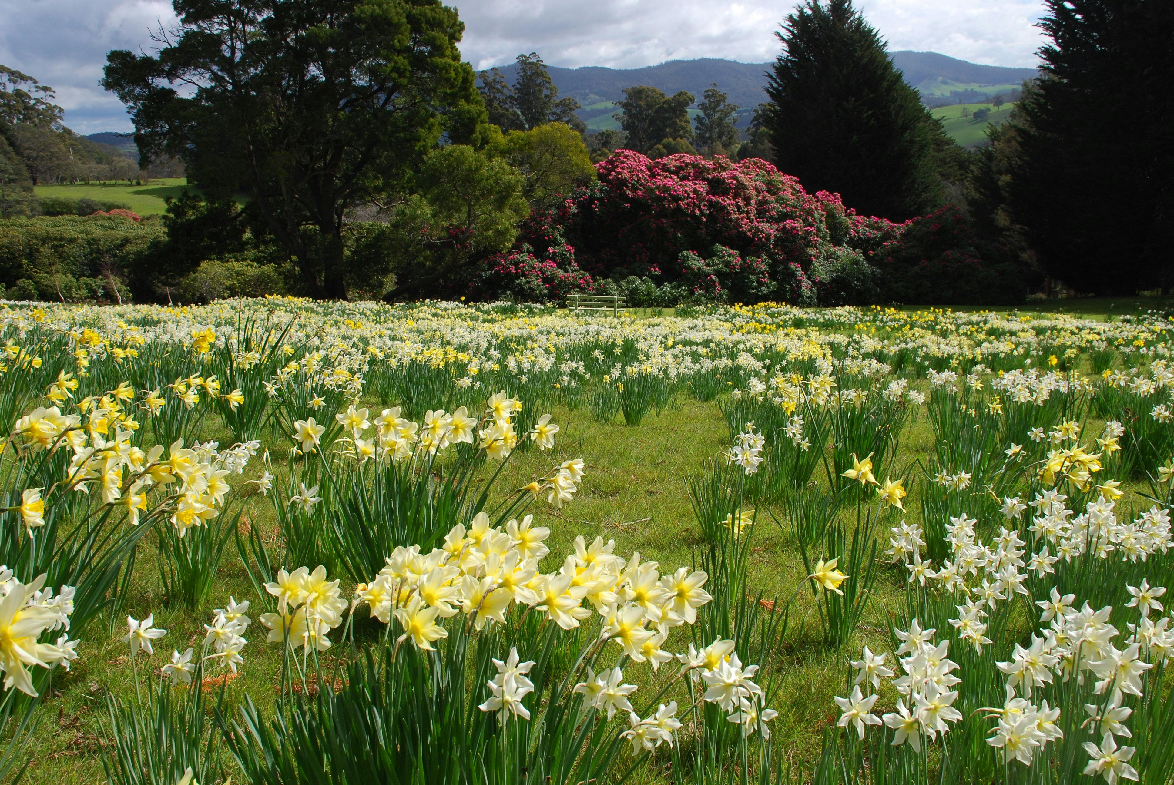 Lalla Flower Farm