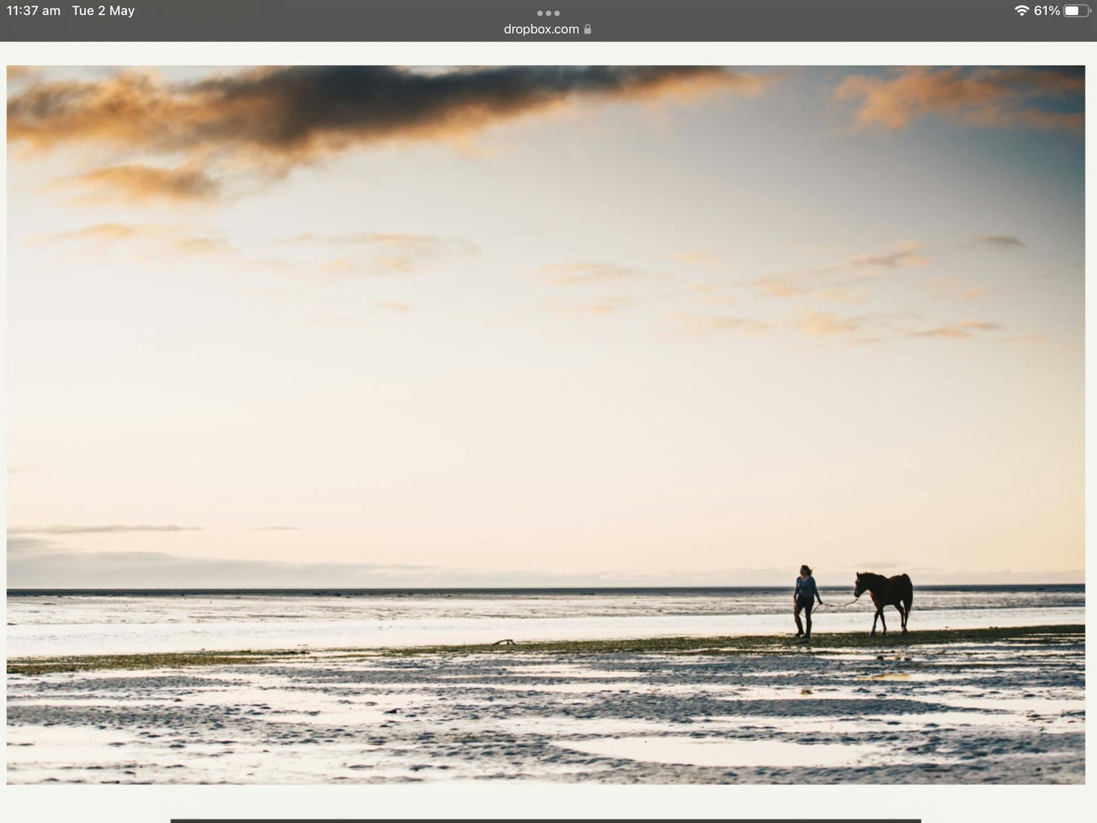 Lady leading her horse along the beach. Tide is low and sun setting, a few whispy clouds high in sky