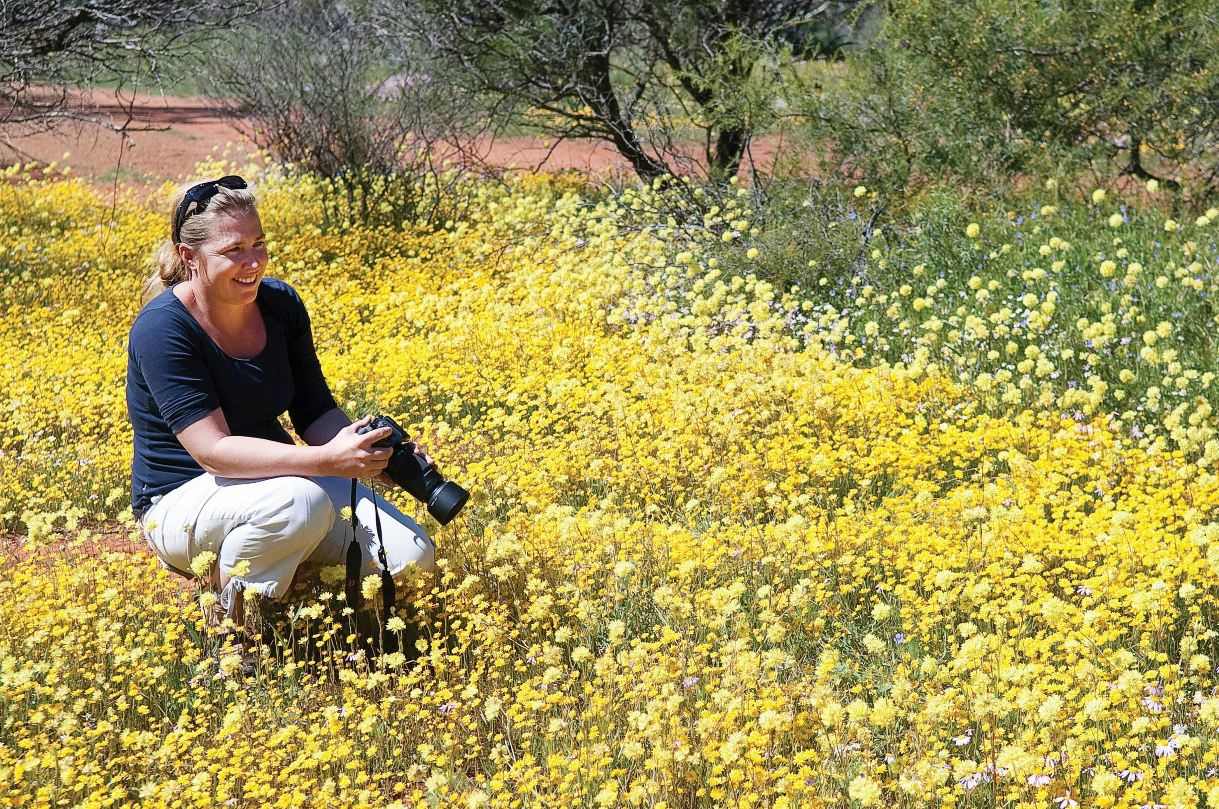 Northern Explorer Wildflower Trail, Mingenew, Western Australia